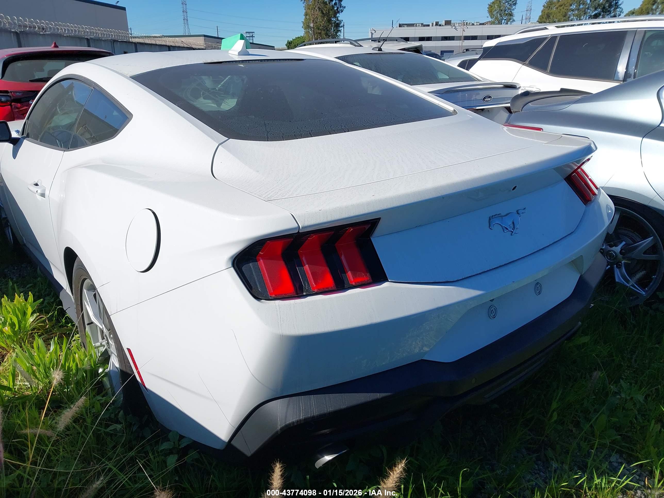 FORD MUSTANG image 3