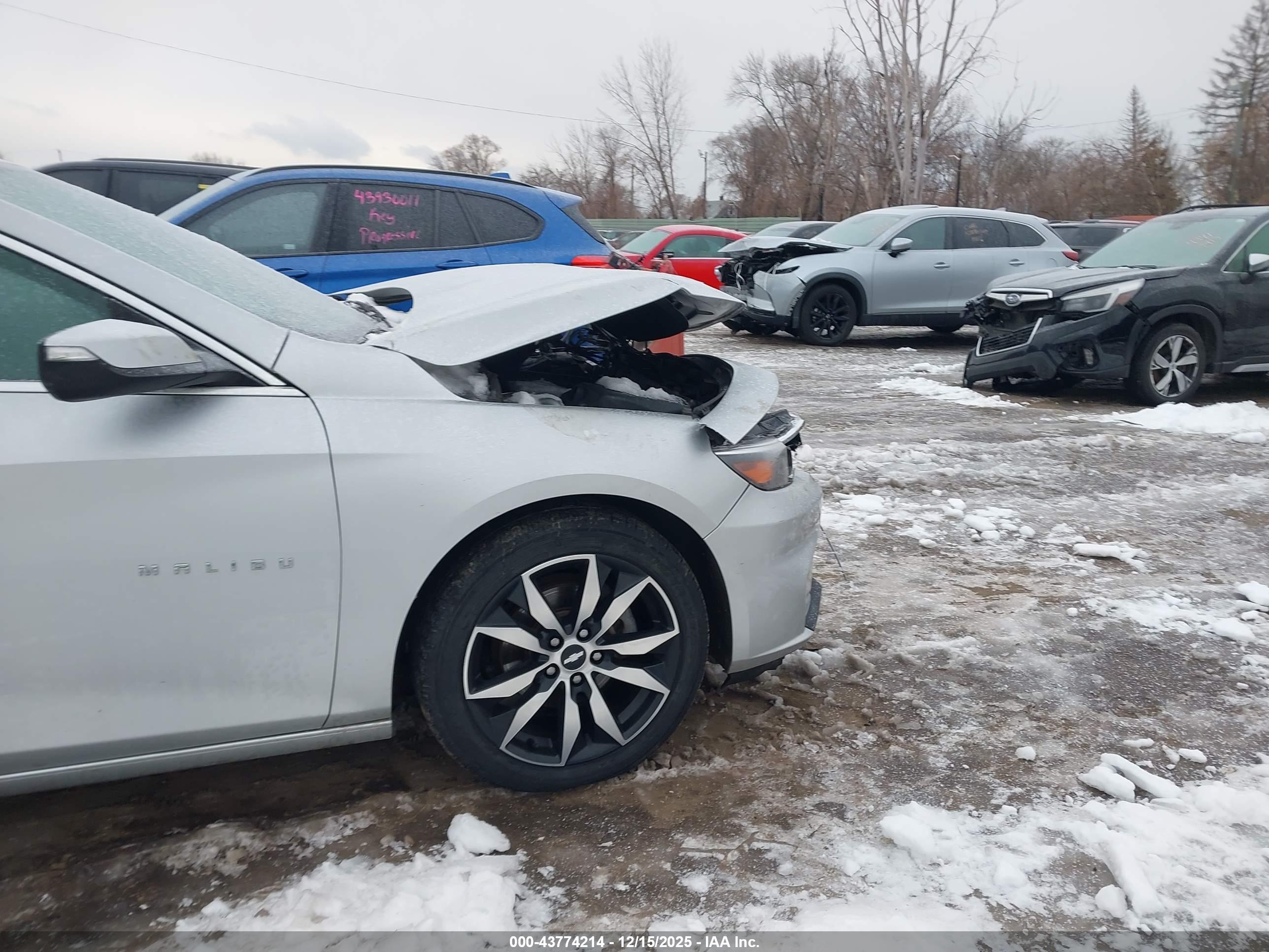 CHEVROLET MALIBU image 6