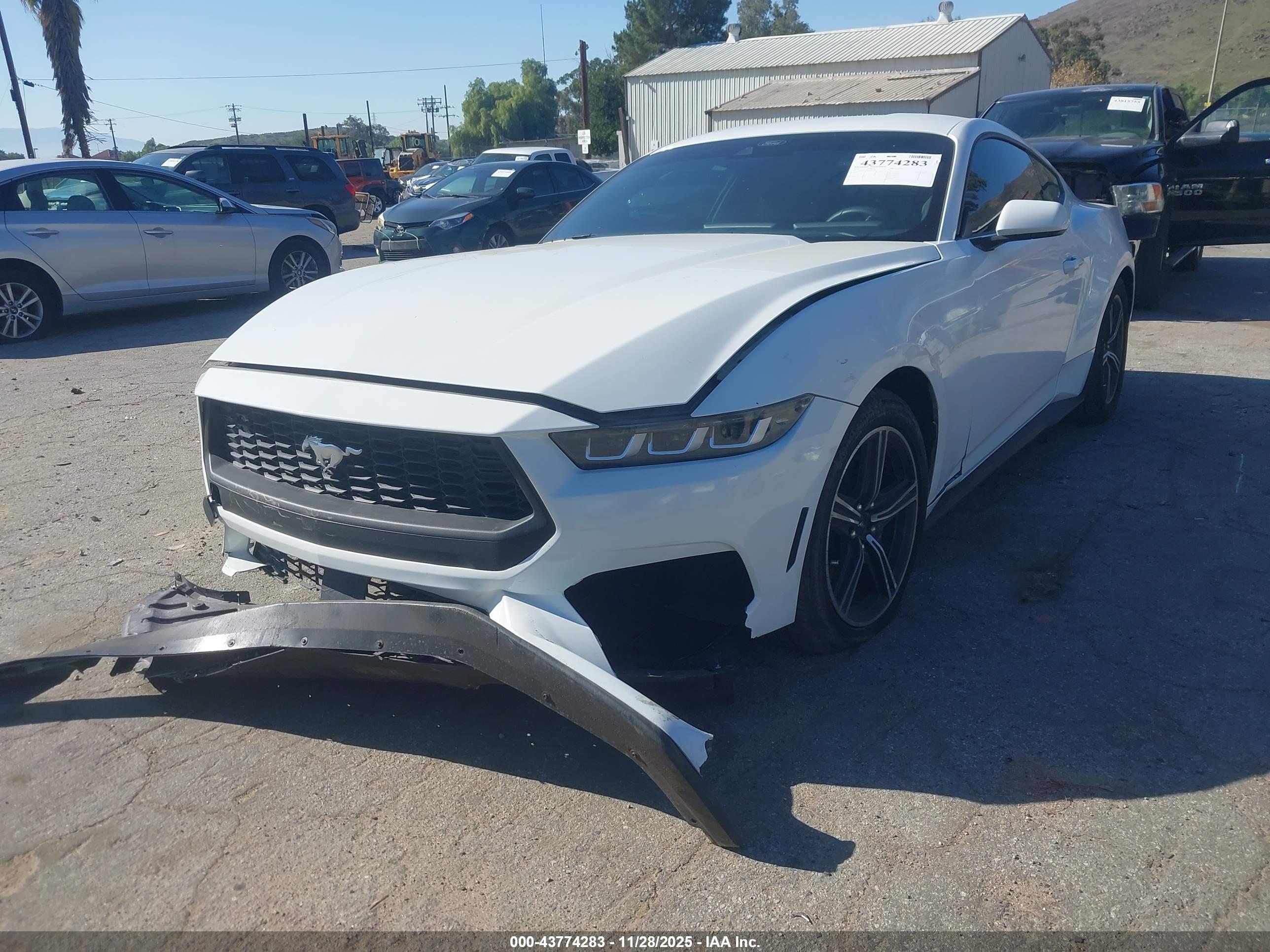 FORD MUSTANG image 2