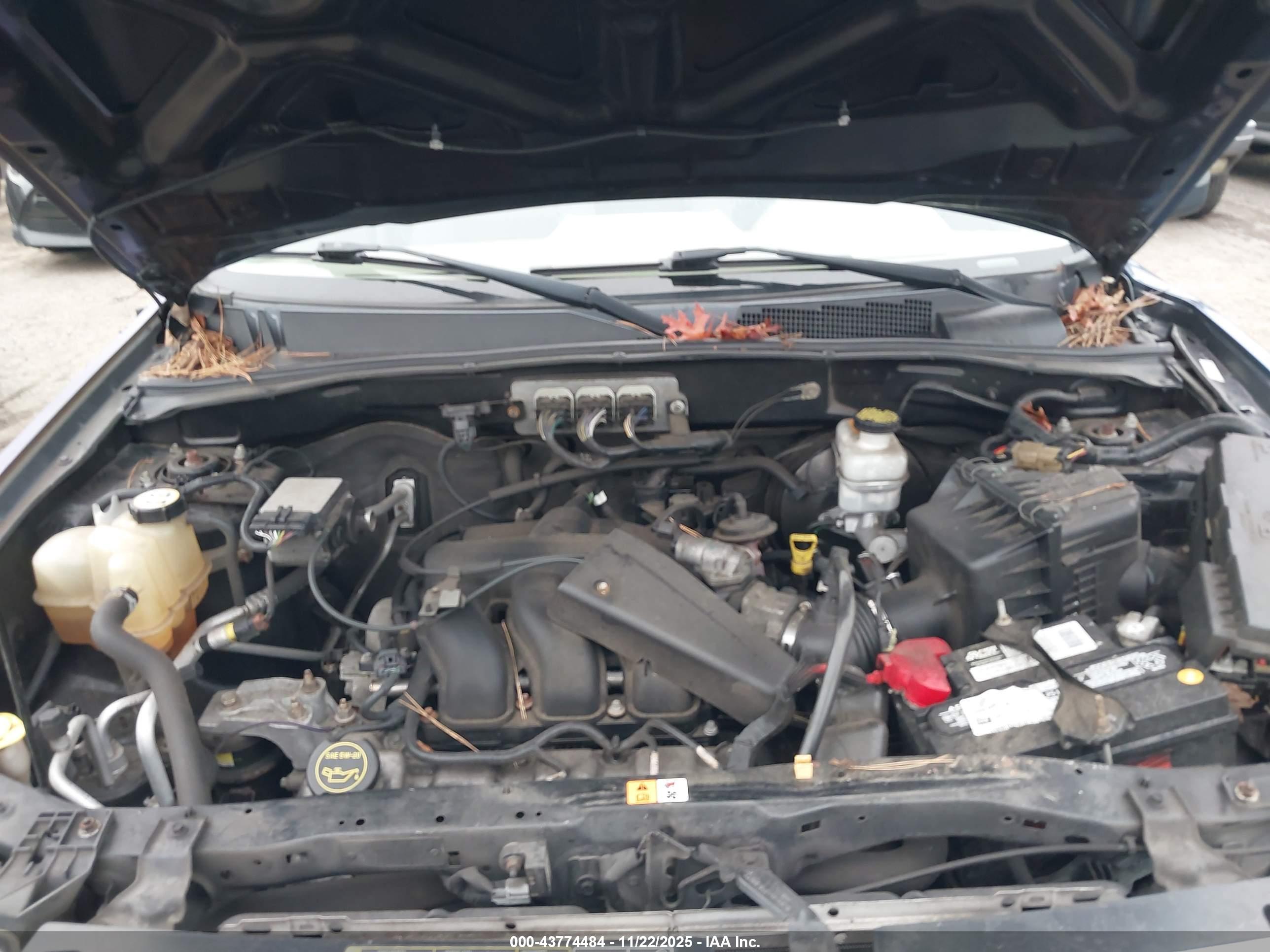 FORD ESCAPE image 10