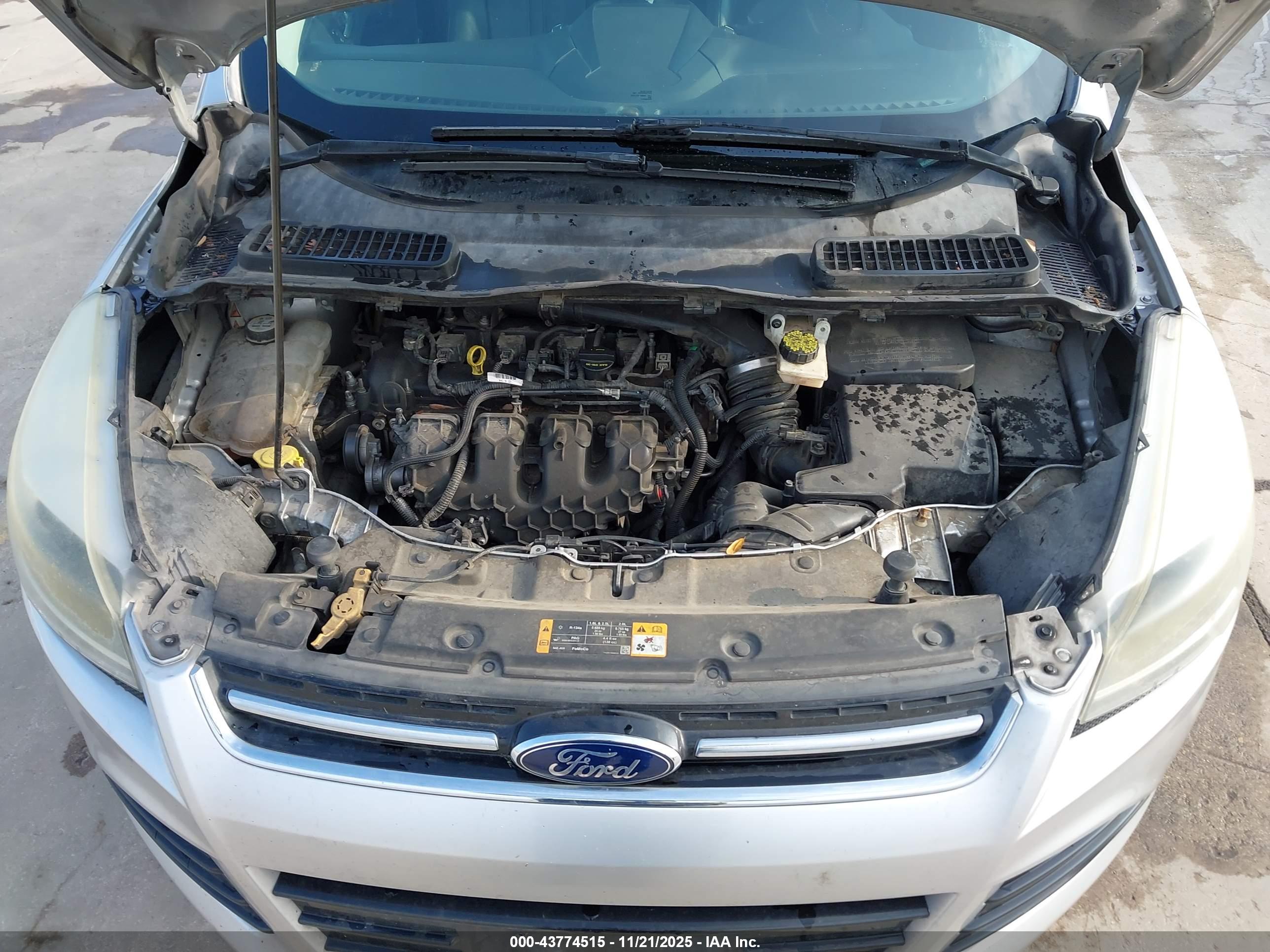 FORD ESCAPE image 10