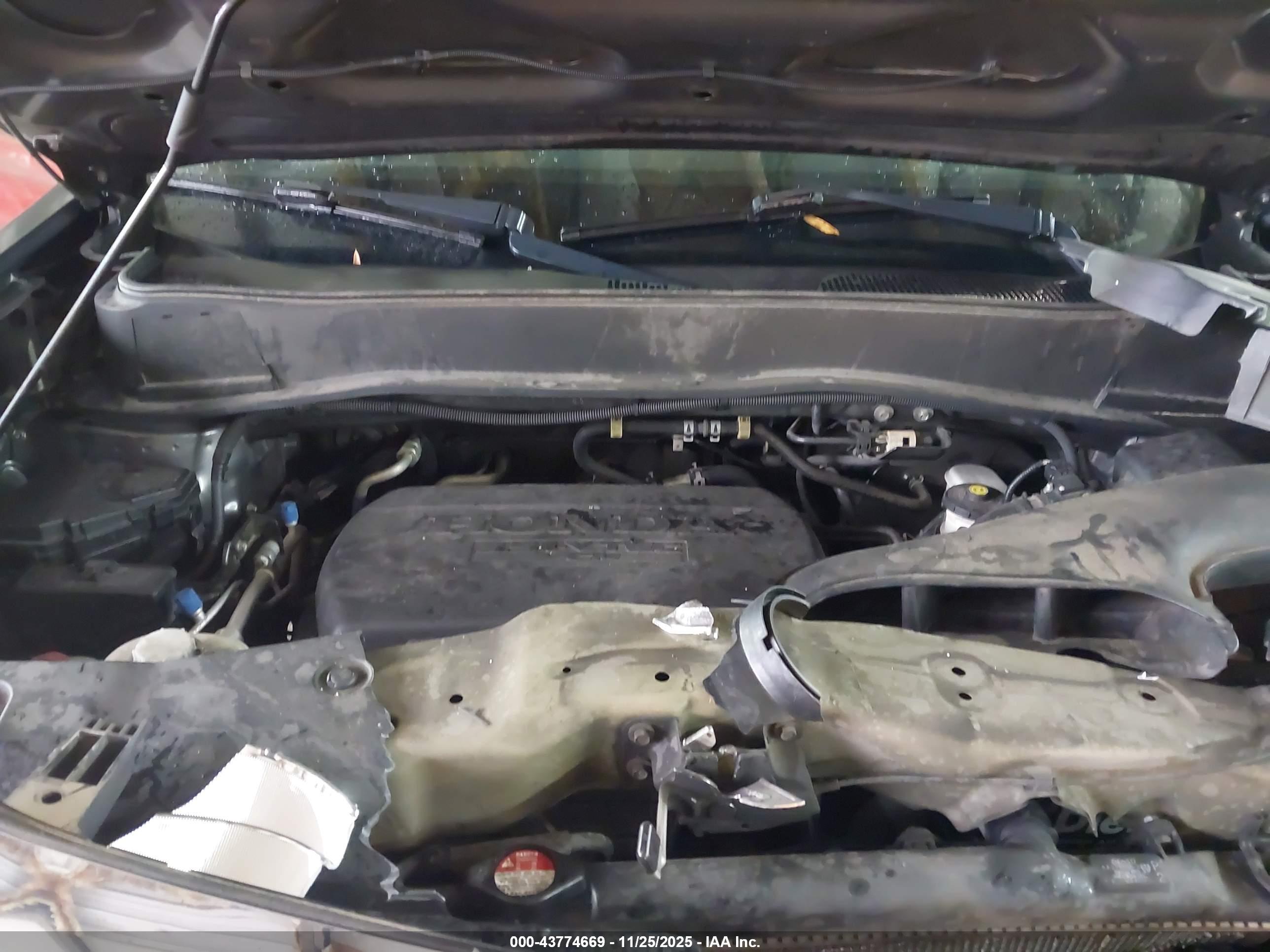 HONDA PILOT image 10