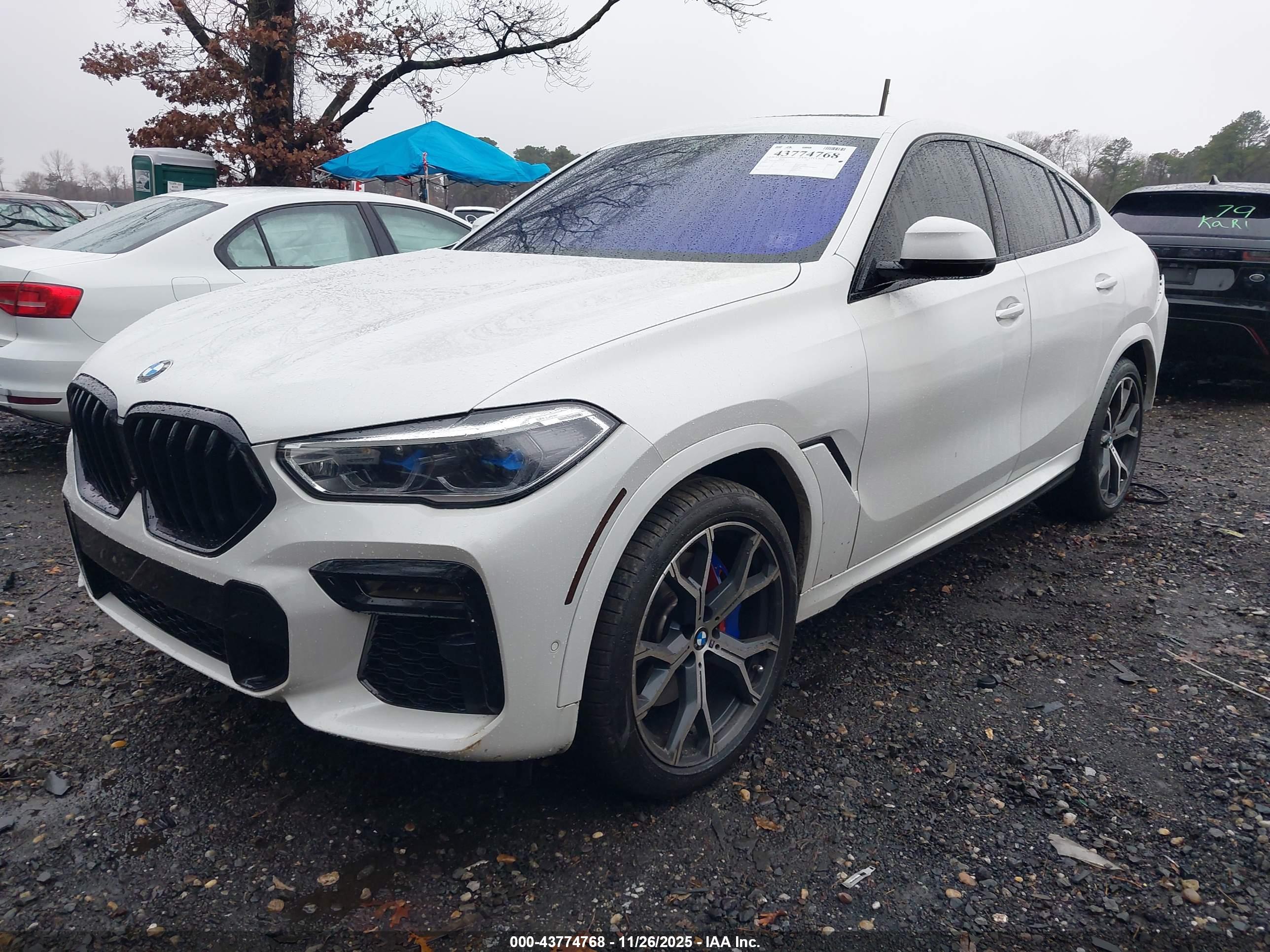 BMW X6 image 2