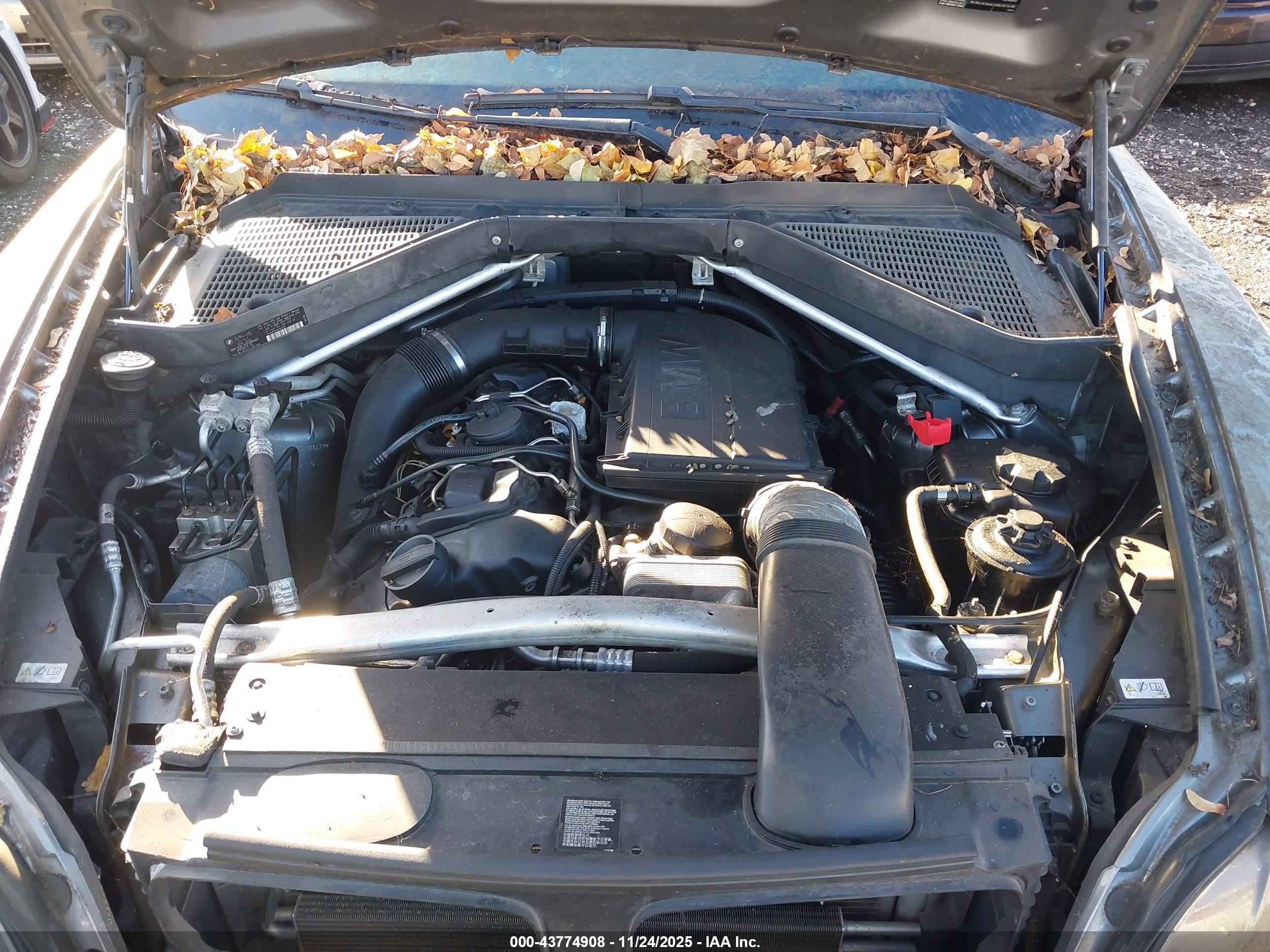 BMW X6 image 10