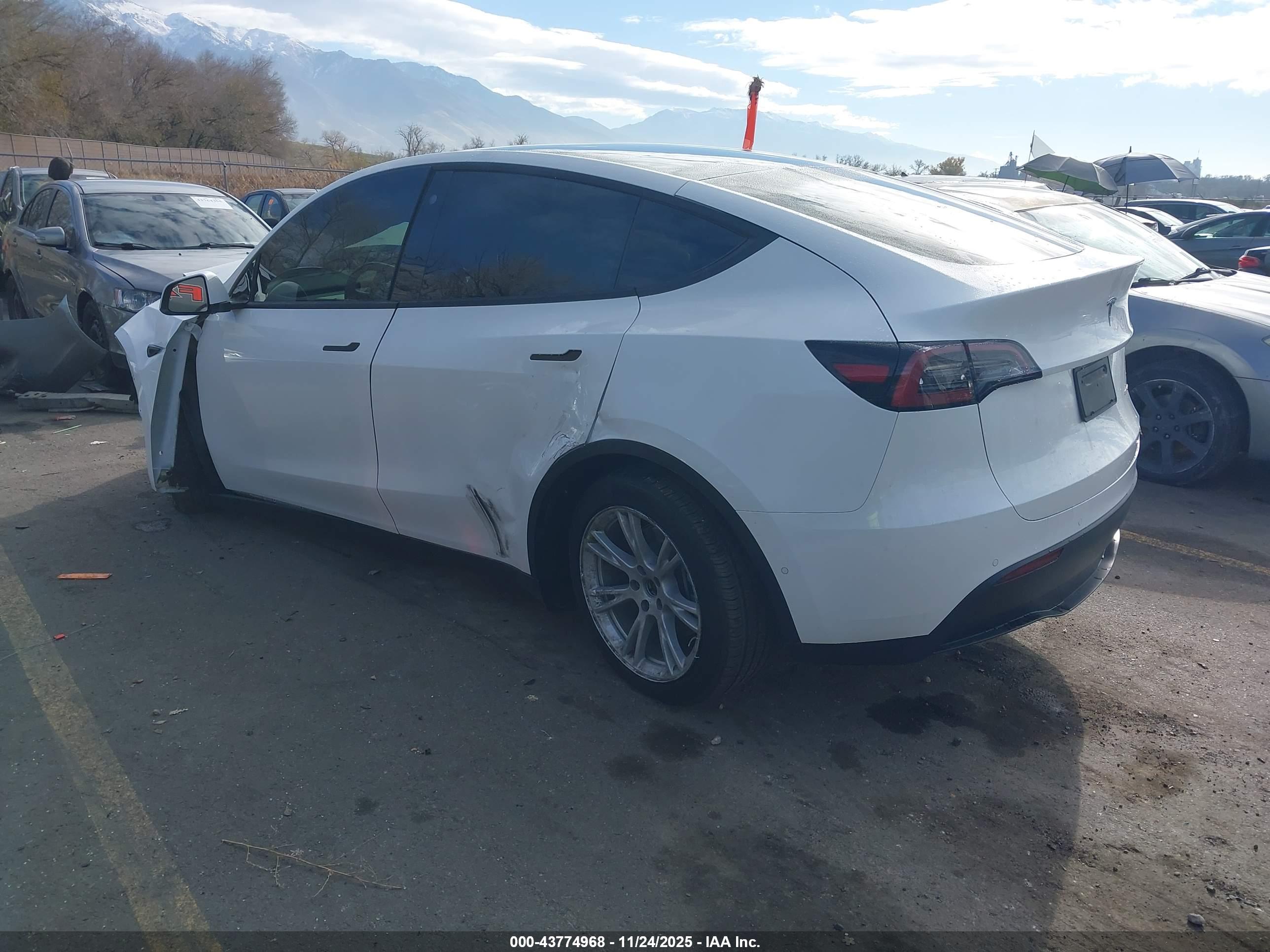 TESLA MODEL image 3