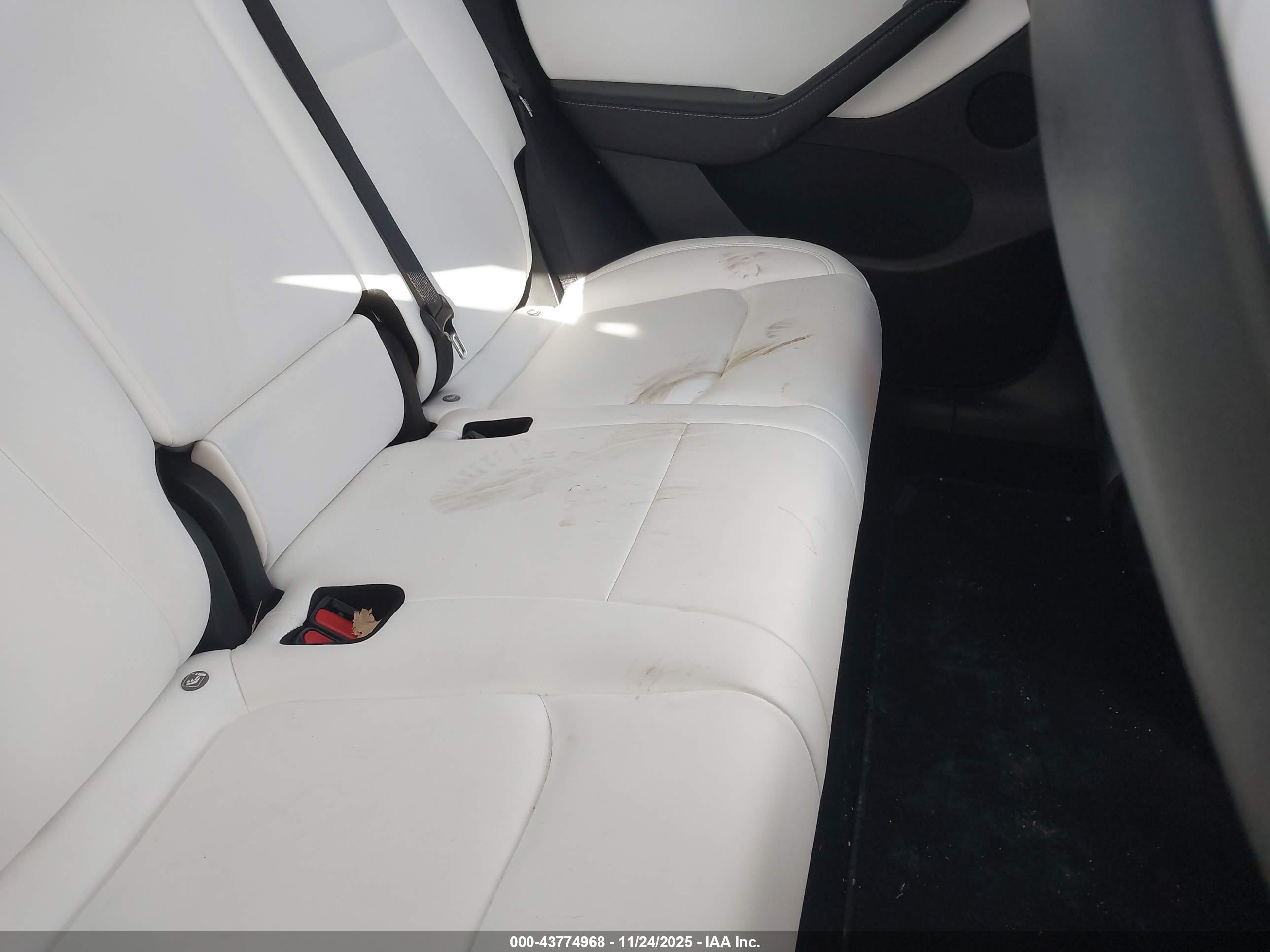 TESLA MODEL image 8