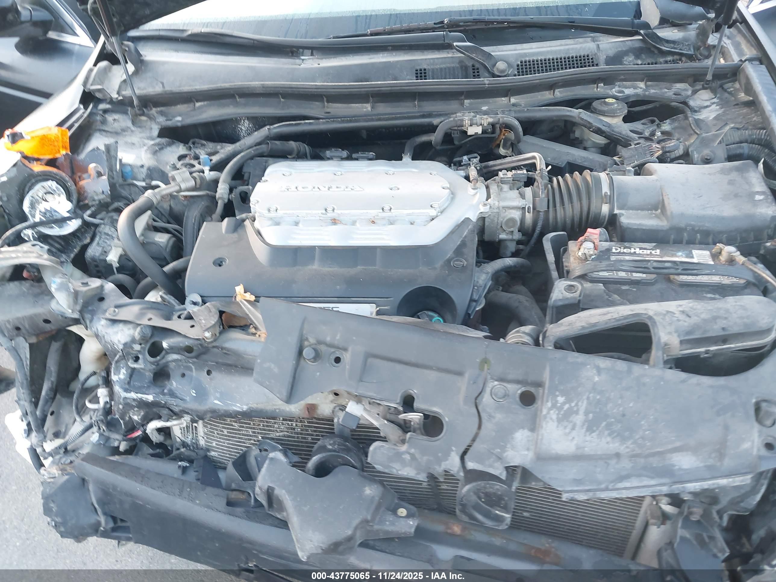 HONDA ACCORD image 10