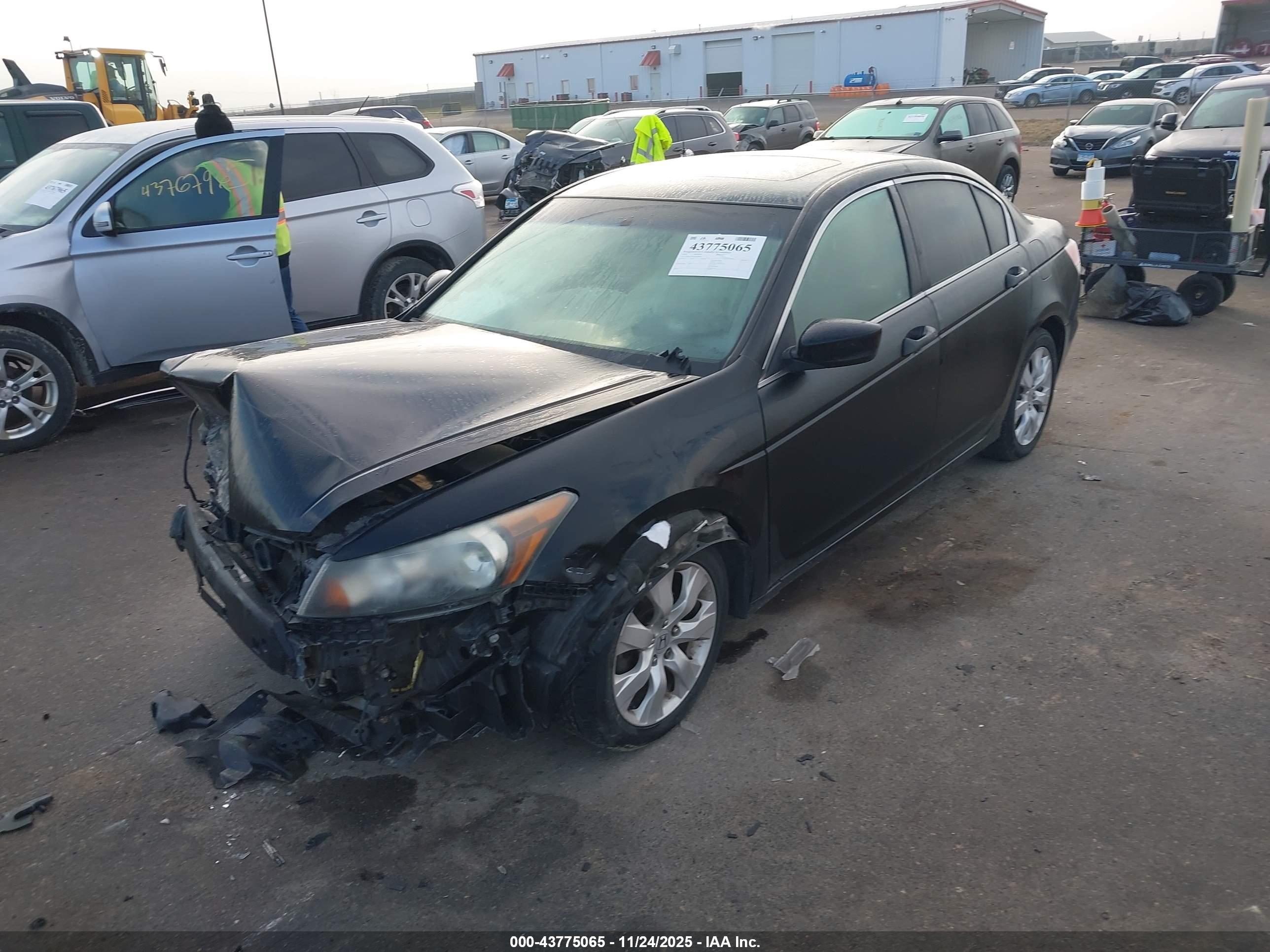 HONDA ACCORD image 2
