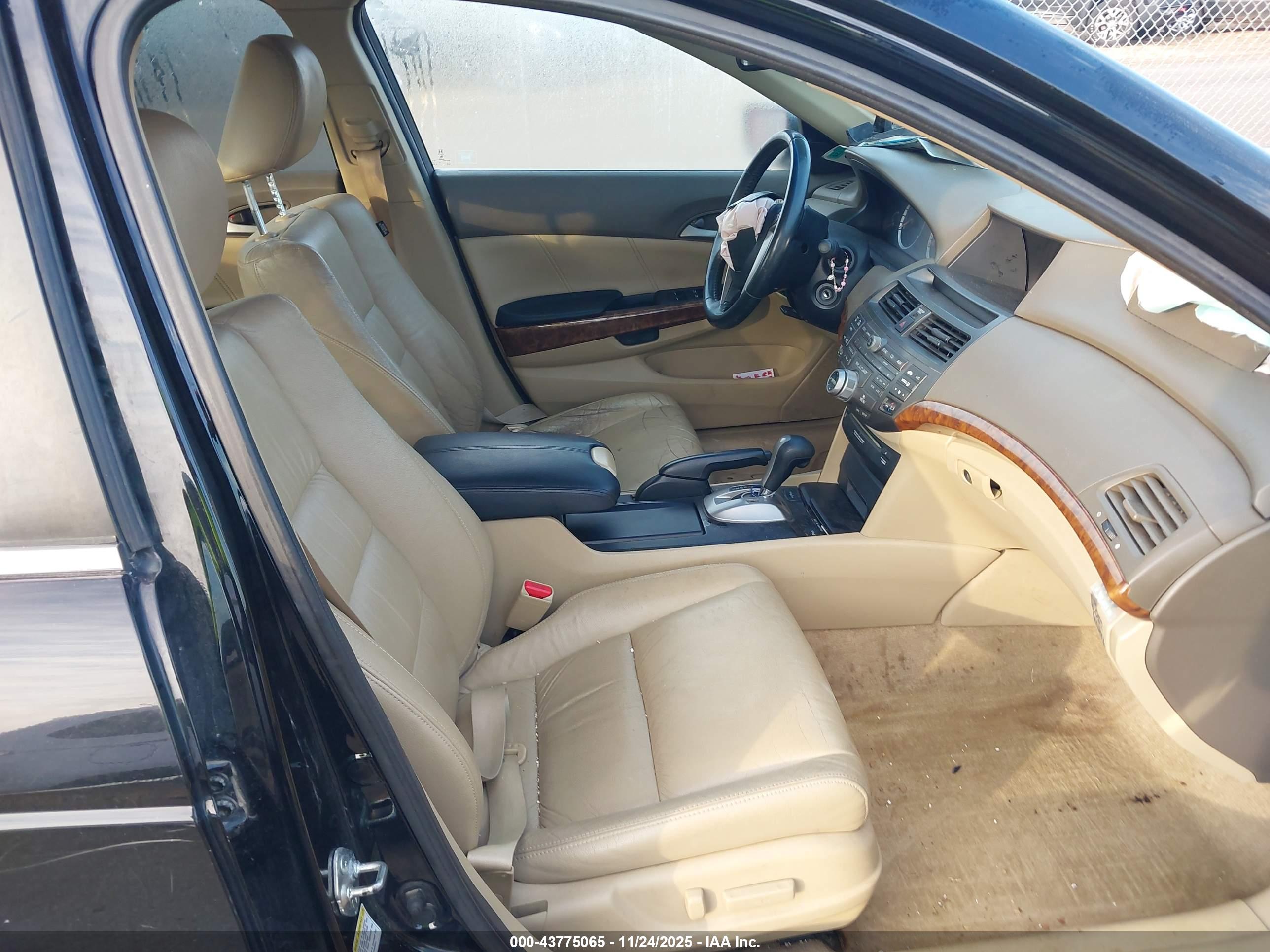 HONDA ACCORD image 5