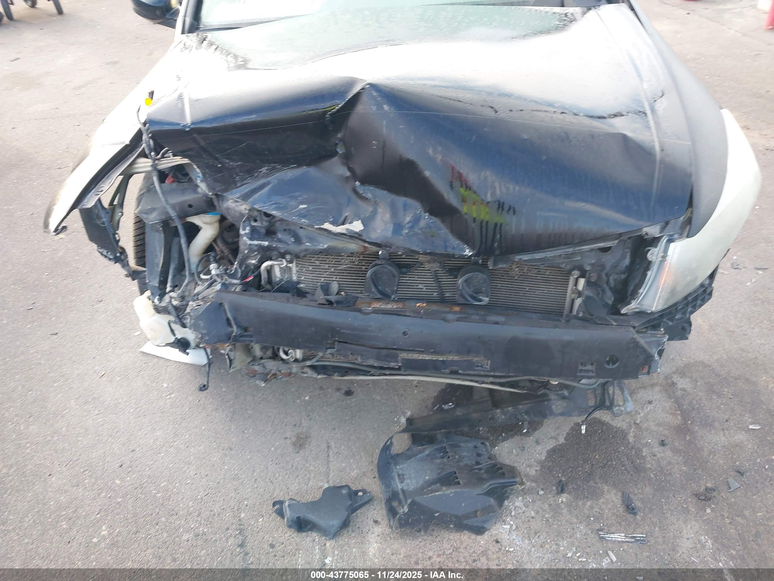 HONDA ACCORD image 6