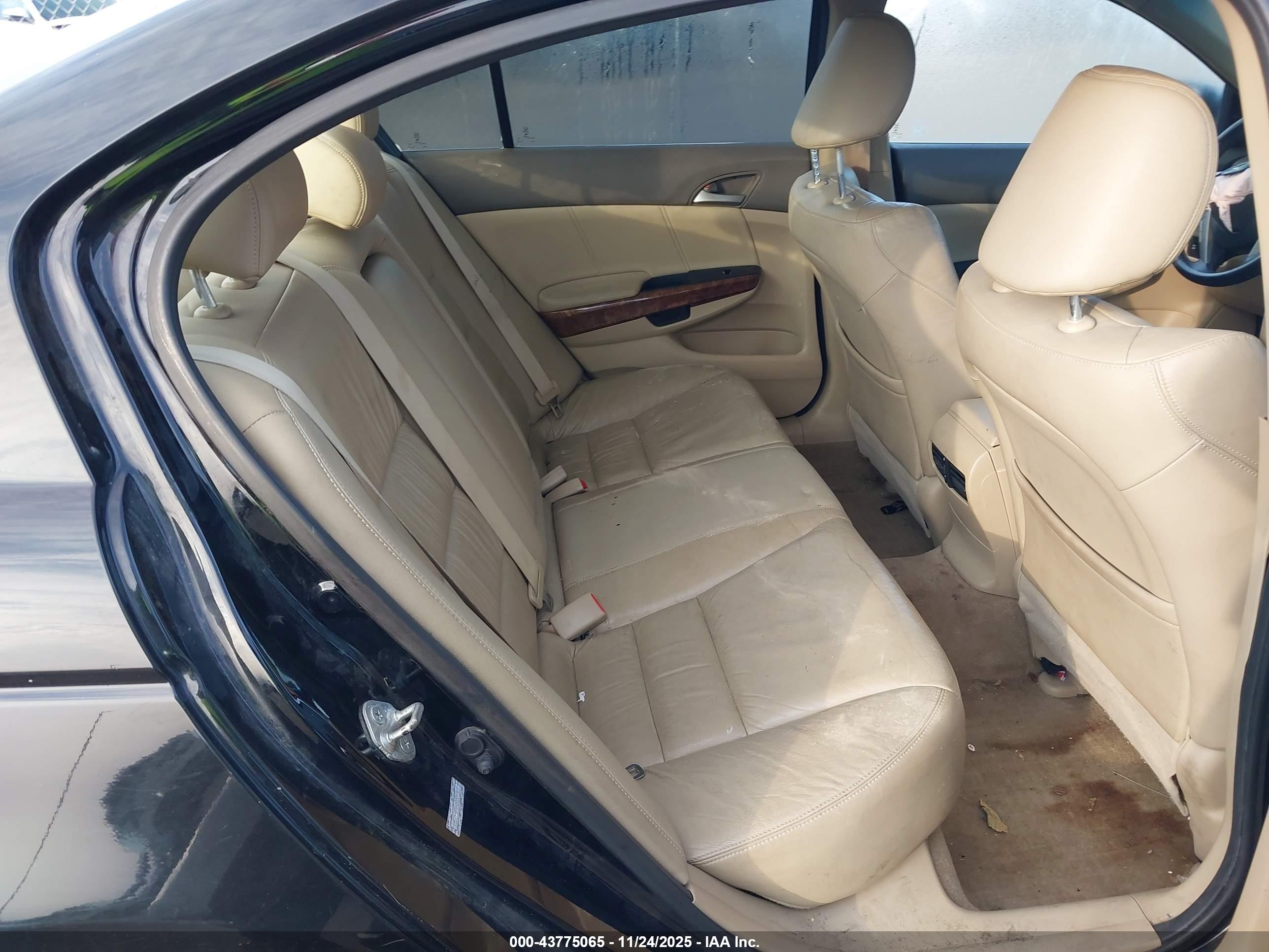 HONDA ACCORD image 8