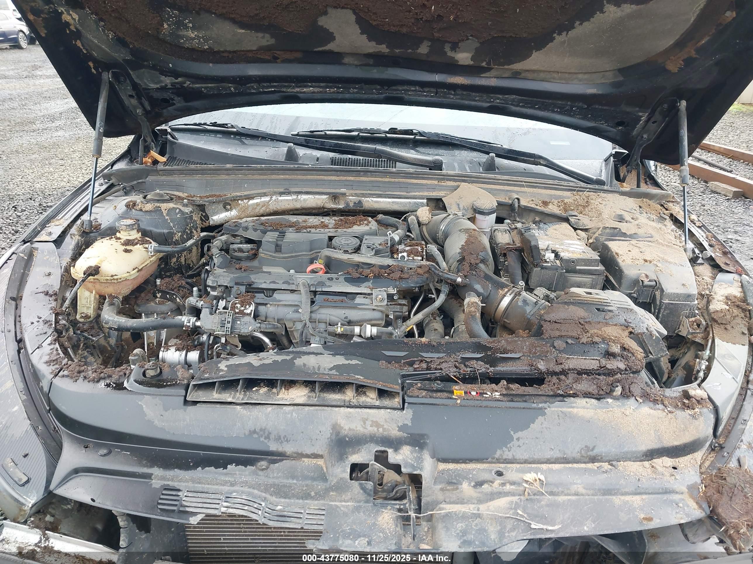 KIA K5 image 10