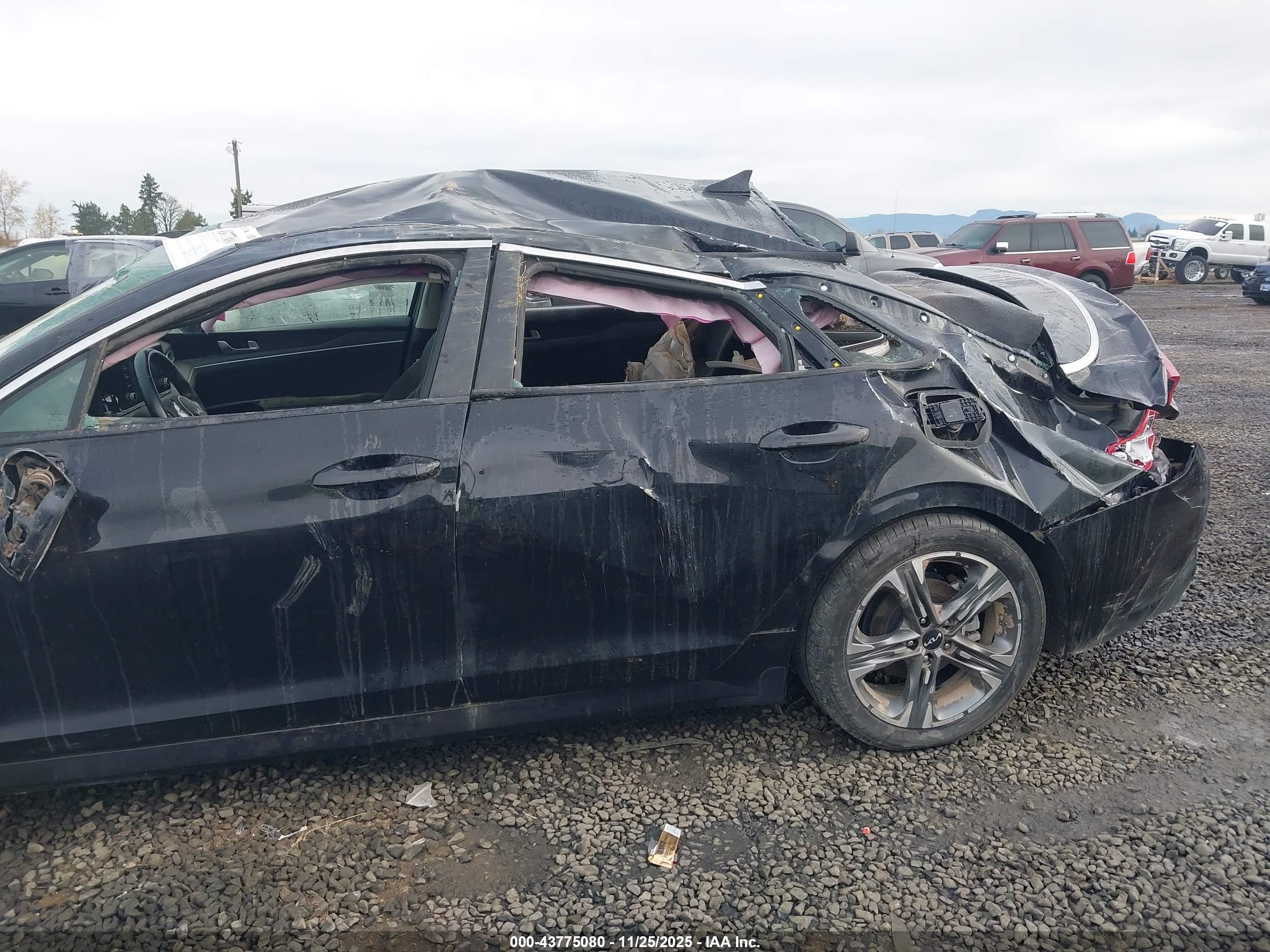 KIA K5 image 6