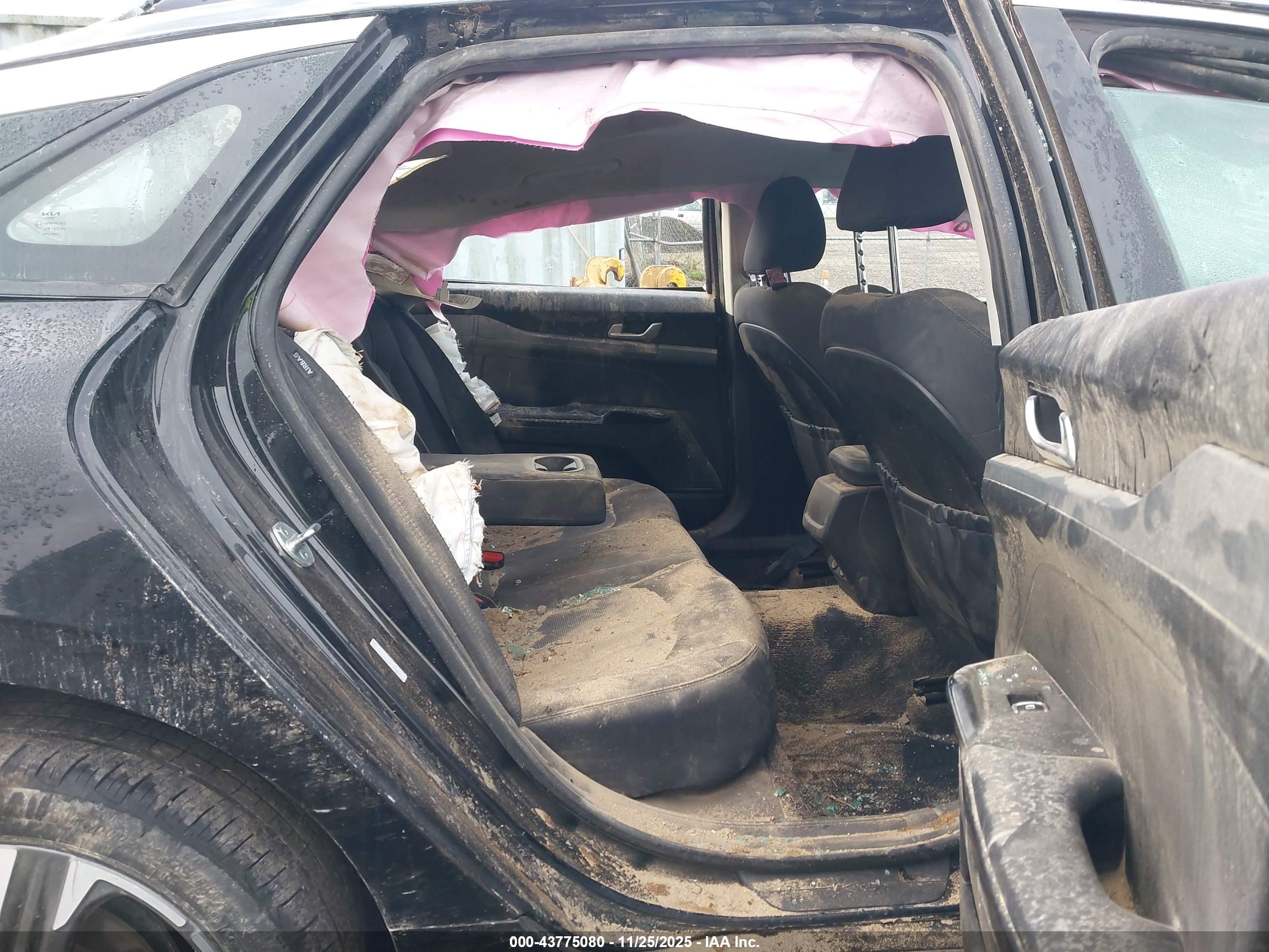 KIA K5 image 8