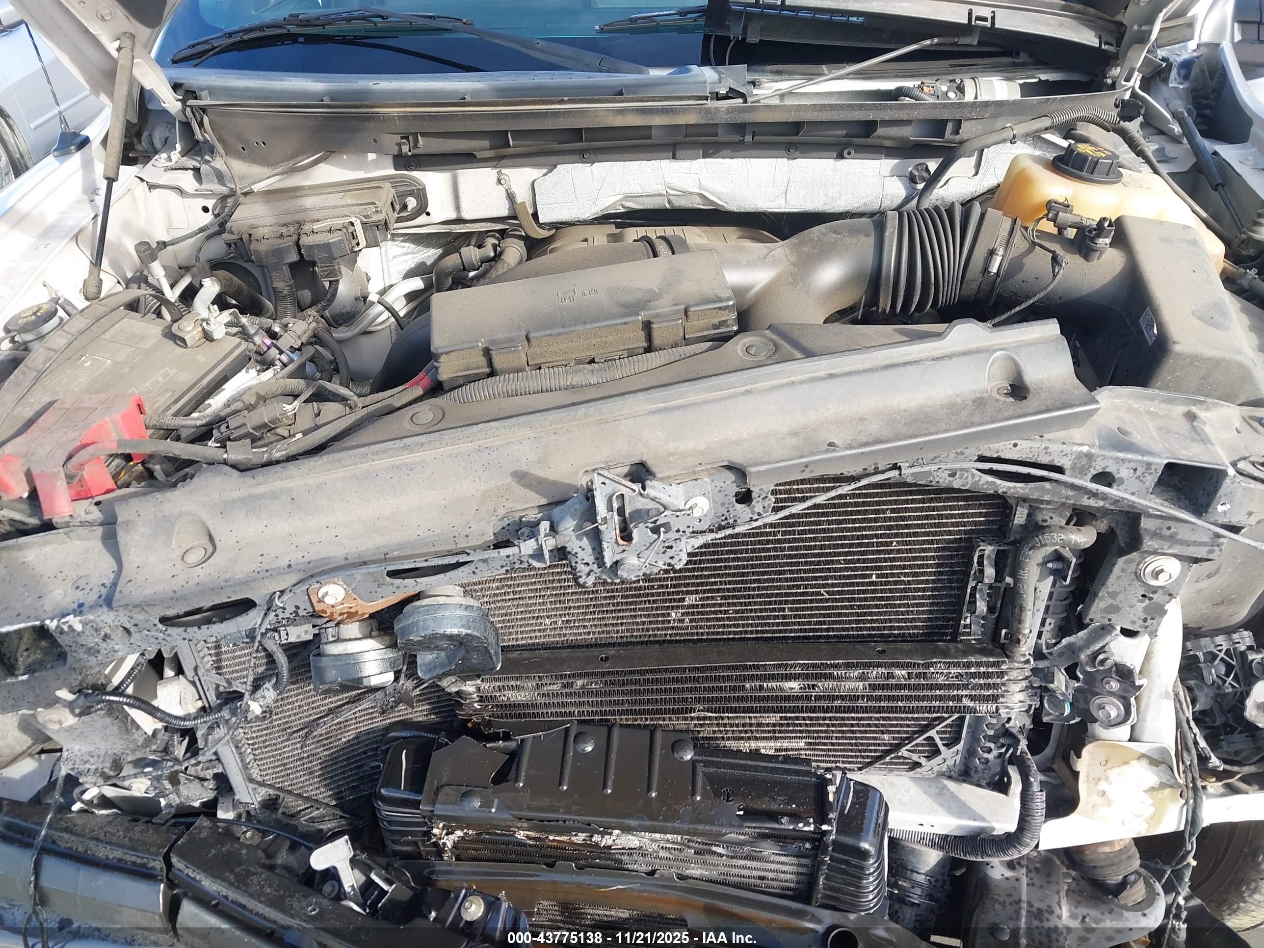 FORD F-150 image 10