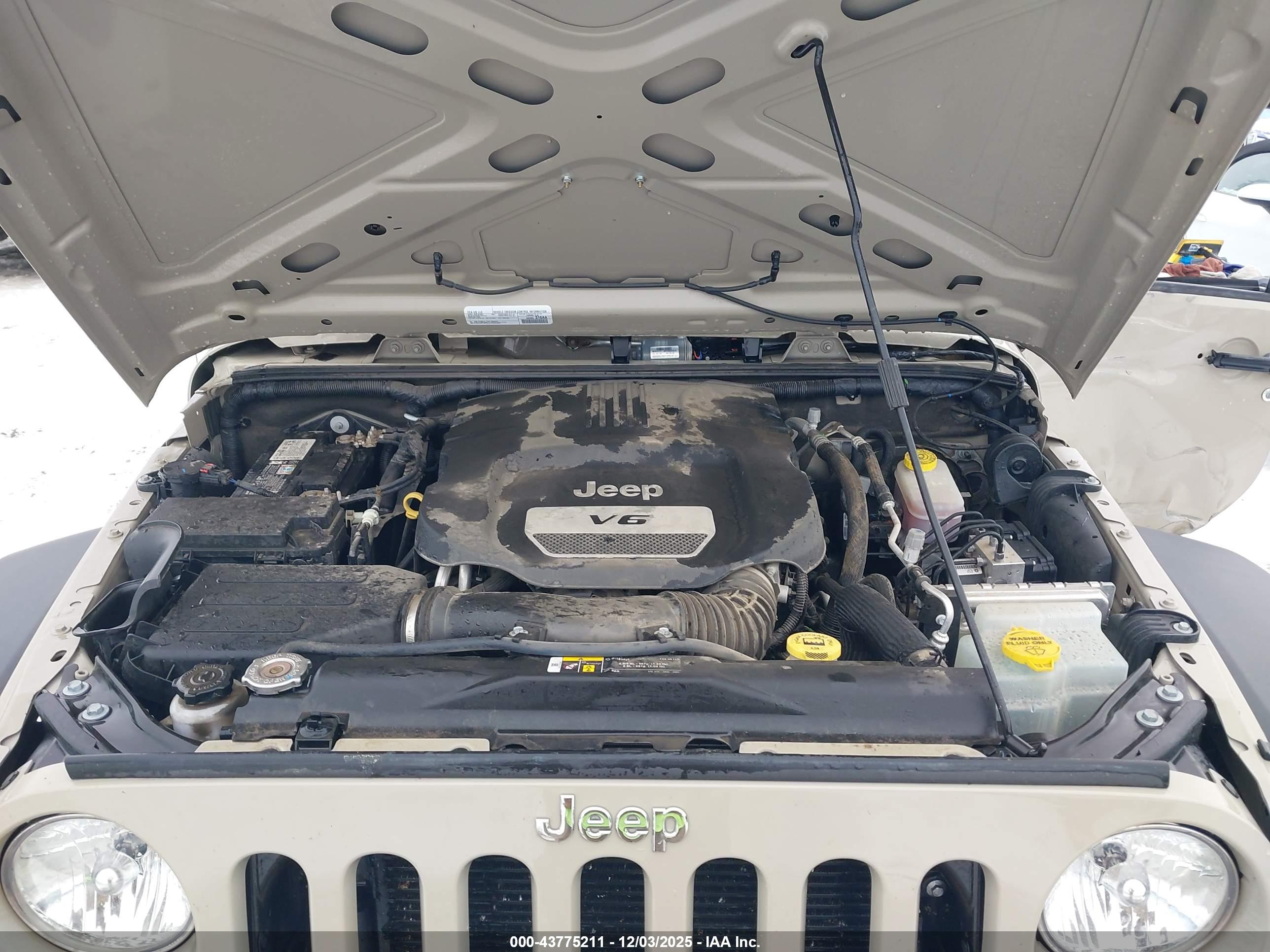 JEEP WRANGLER image 10