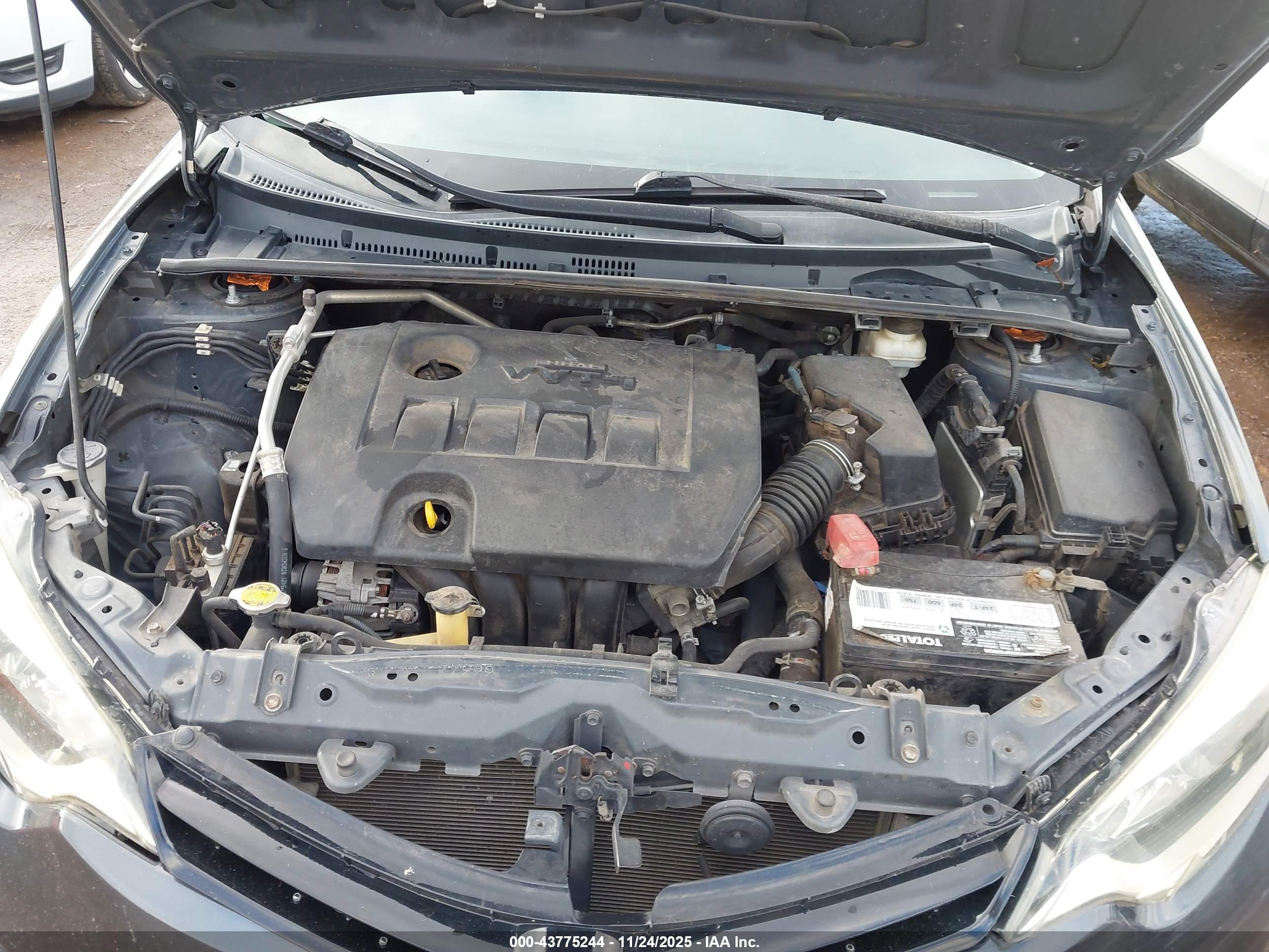TOYOTA COROLLA image 10