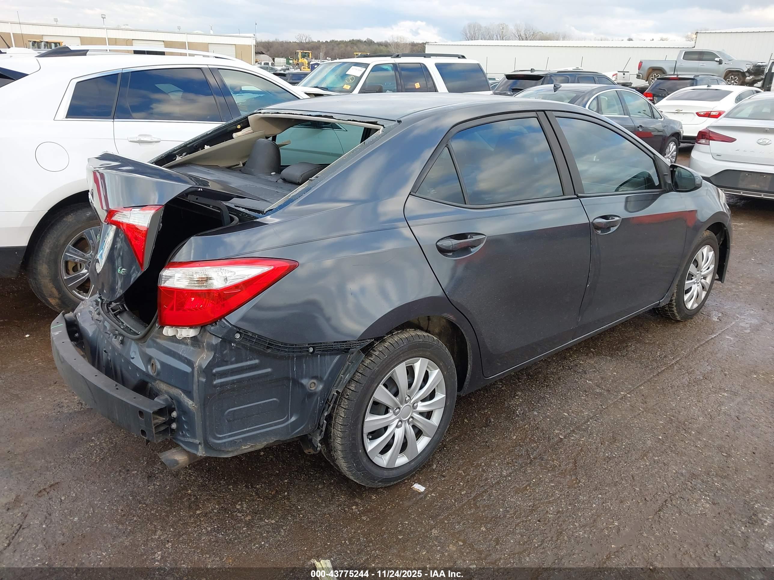 TOYOTA COROLLA image 4