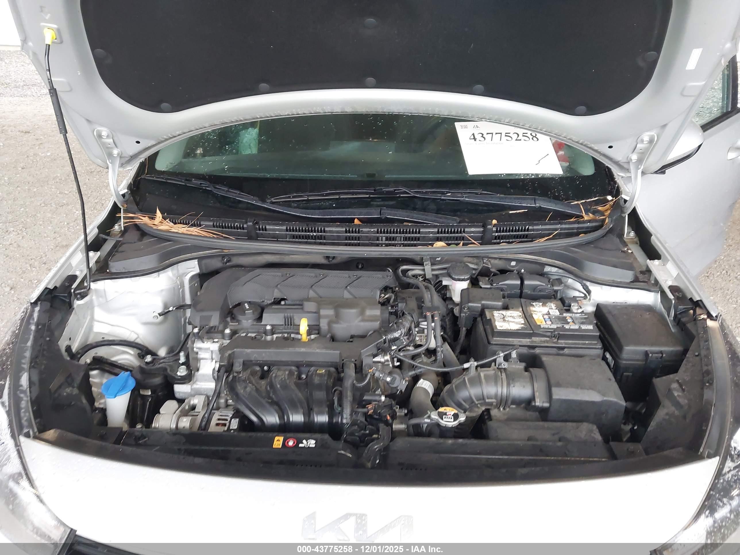 KIA RIO image 10