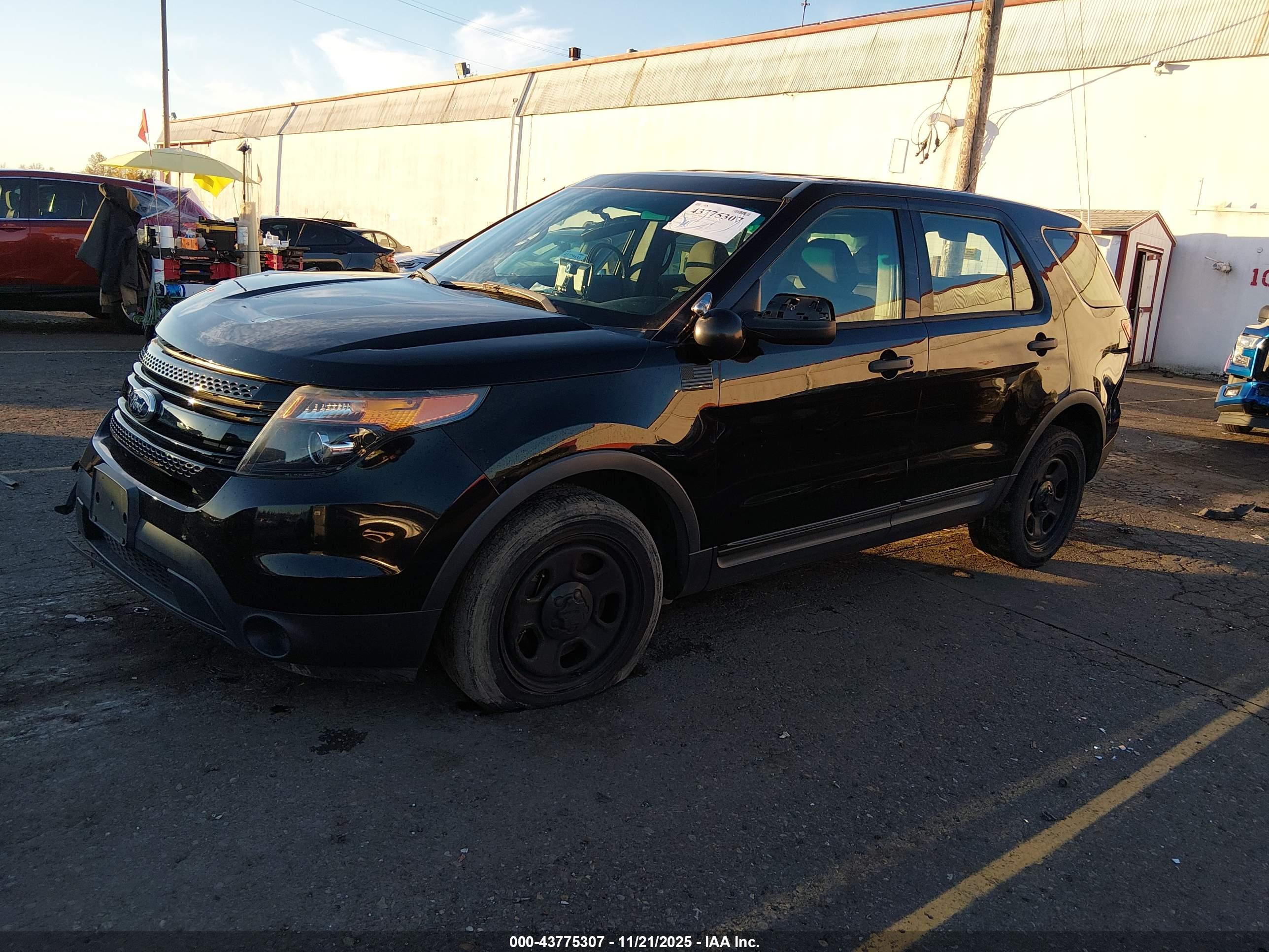 FORD UTILITY image 2