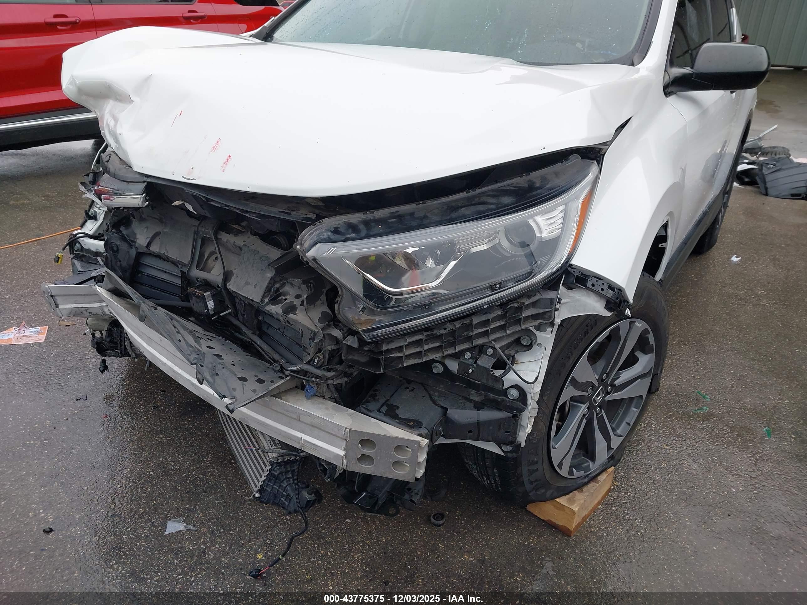 HONDA CR-V image 6