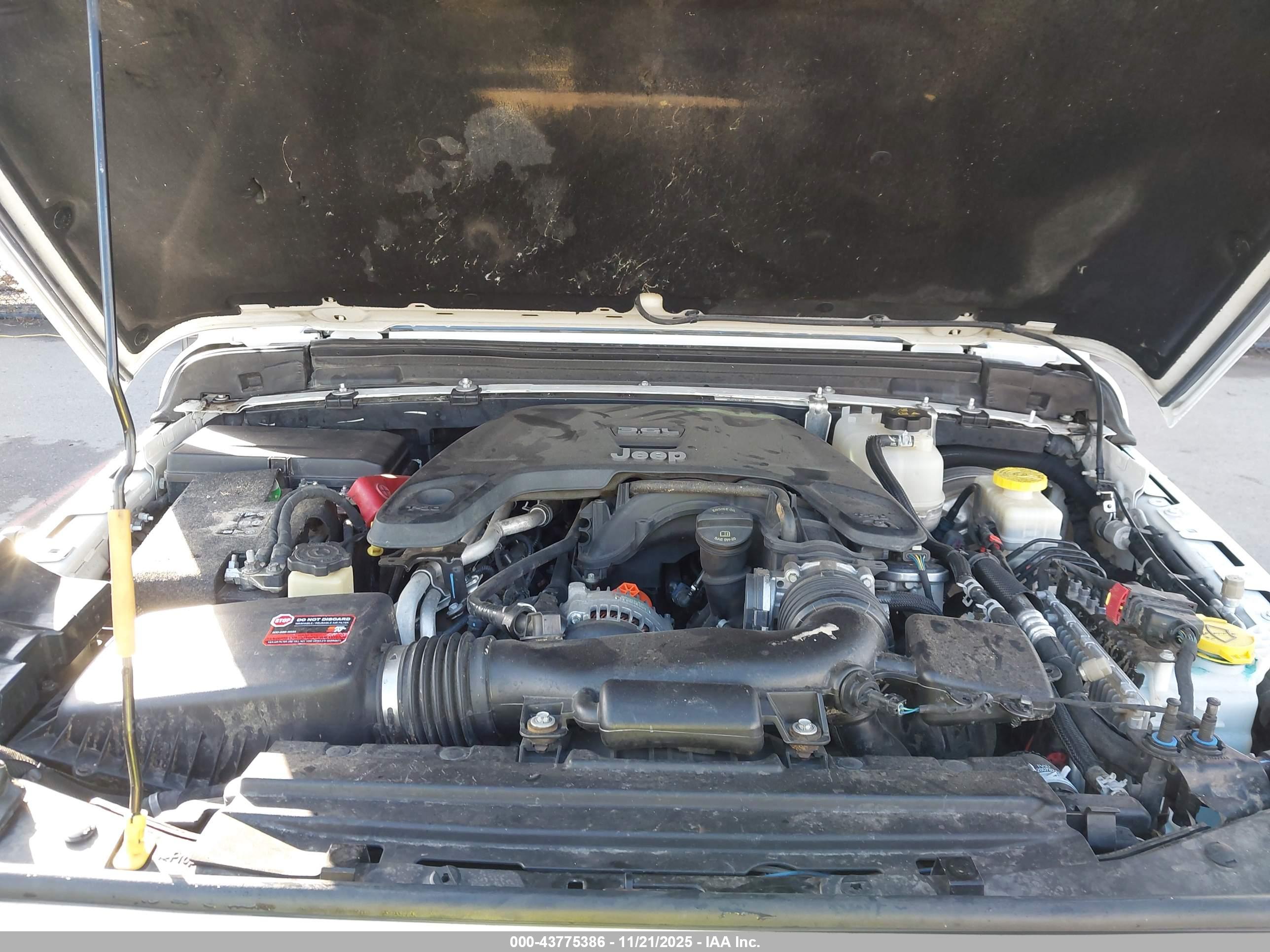 JEEP WRANGLER image 10