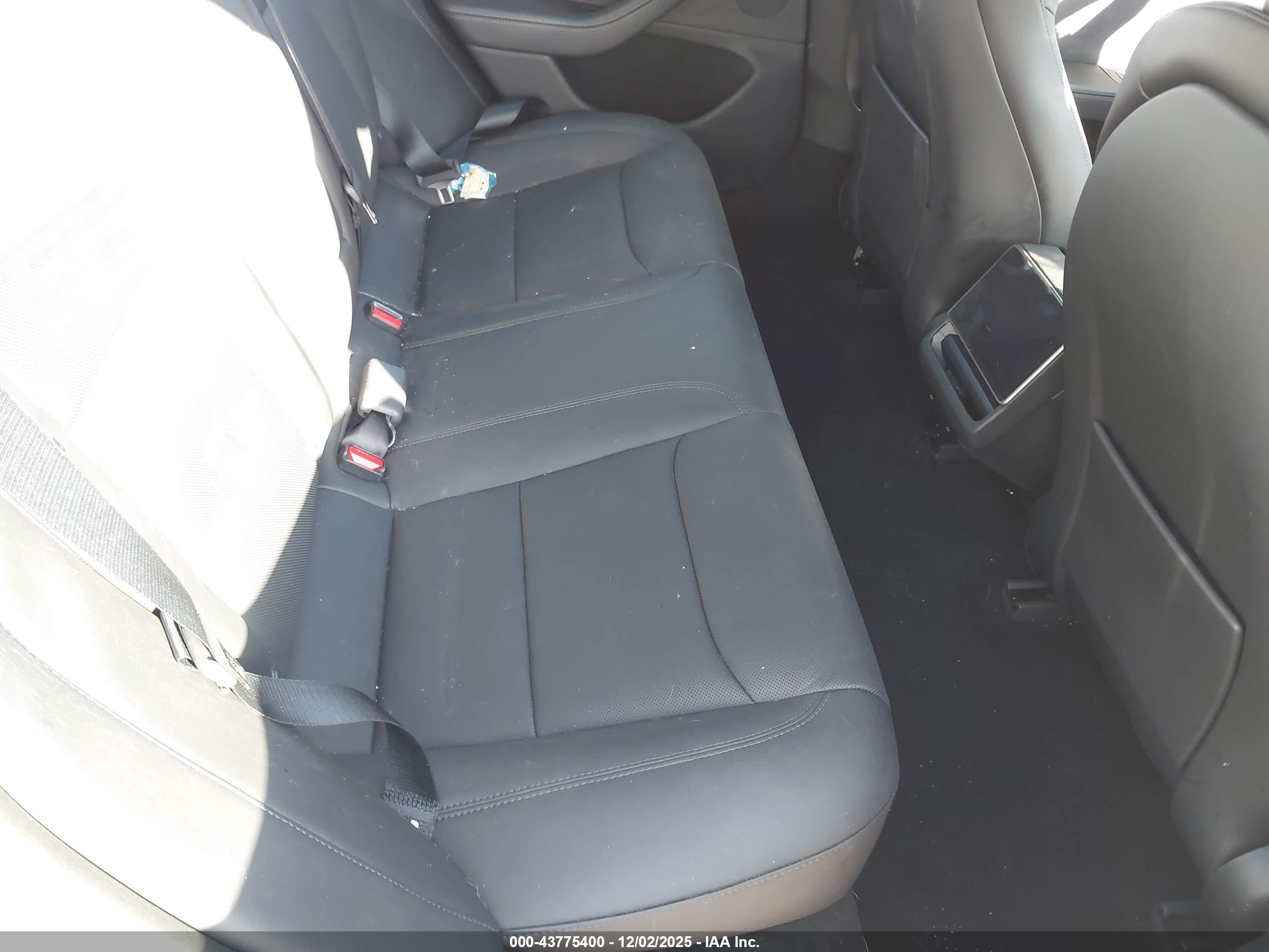 TESLA MODEL image 8