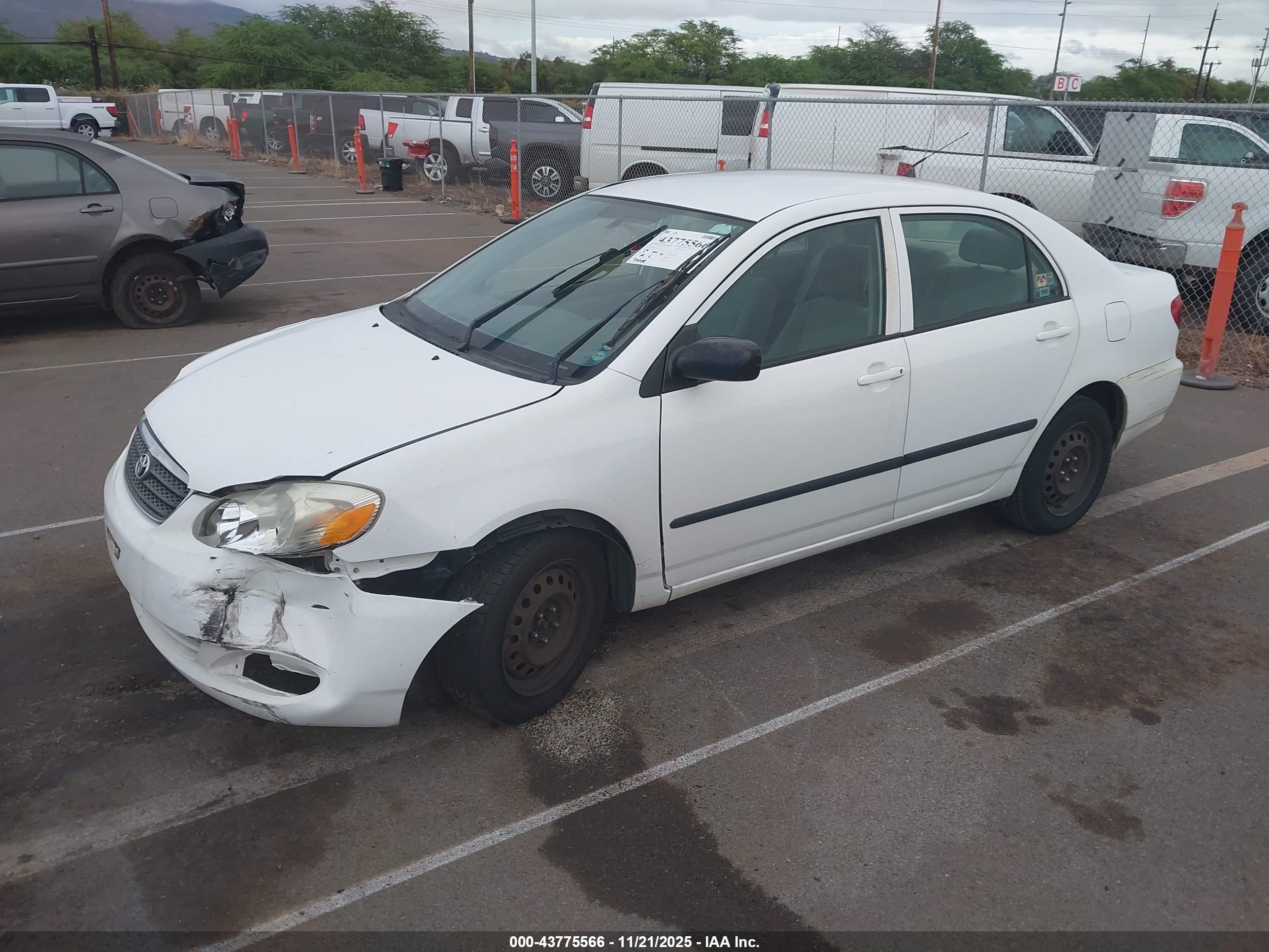 TOYOTA COROLLA image 2