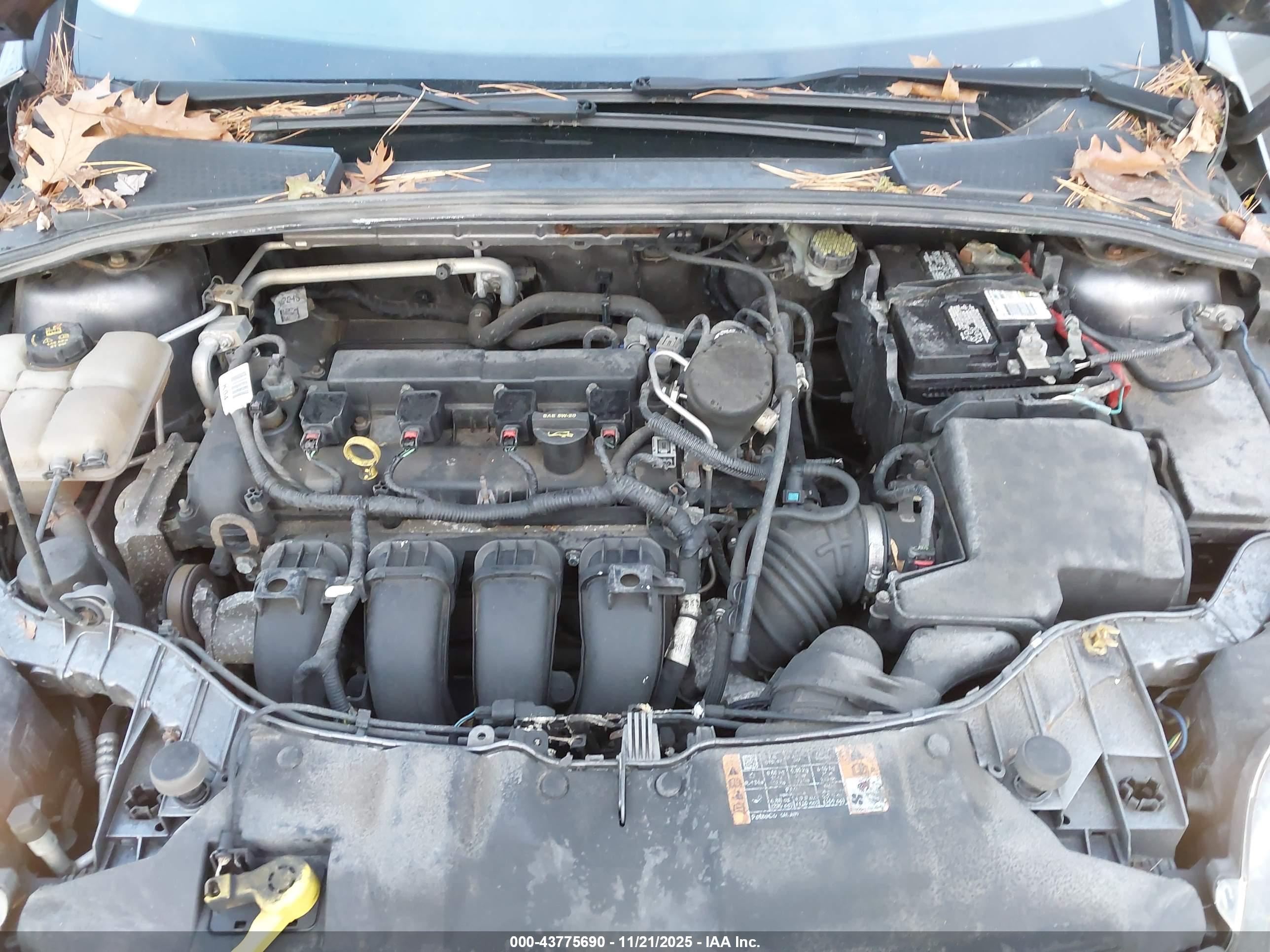 FORD FOCUS image 10