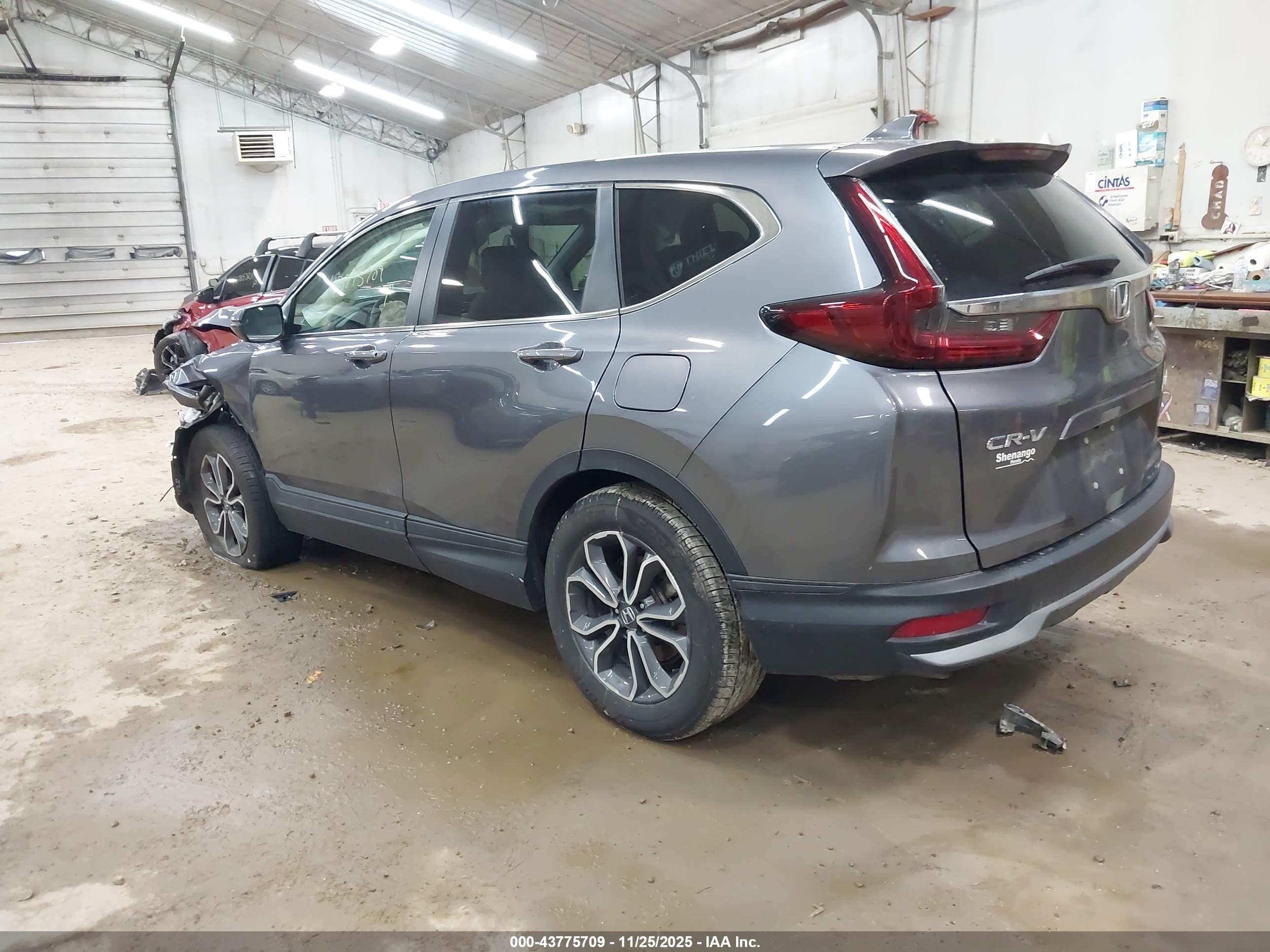 HONDA CR-V image 3