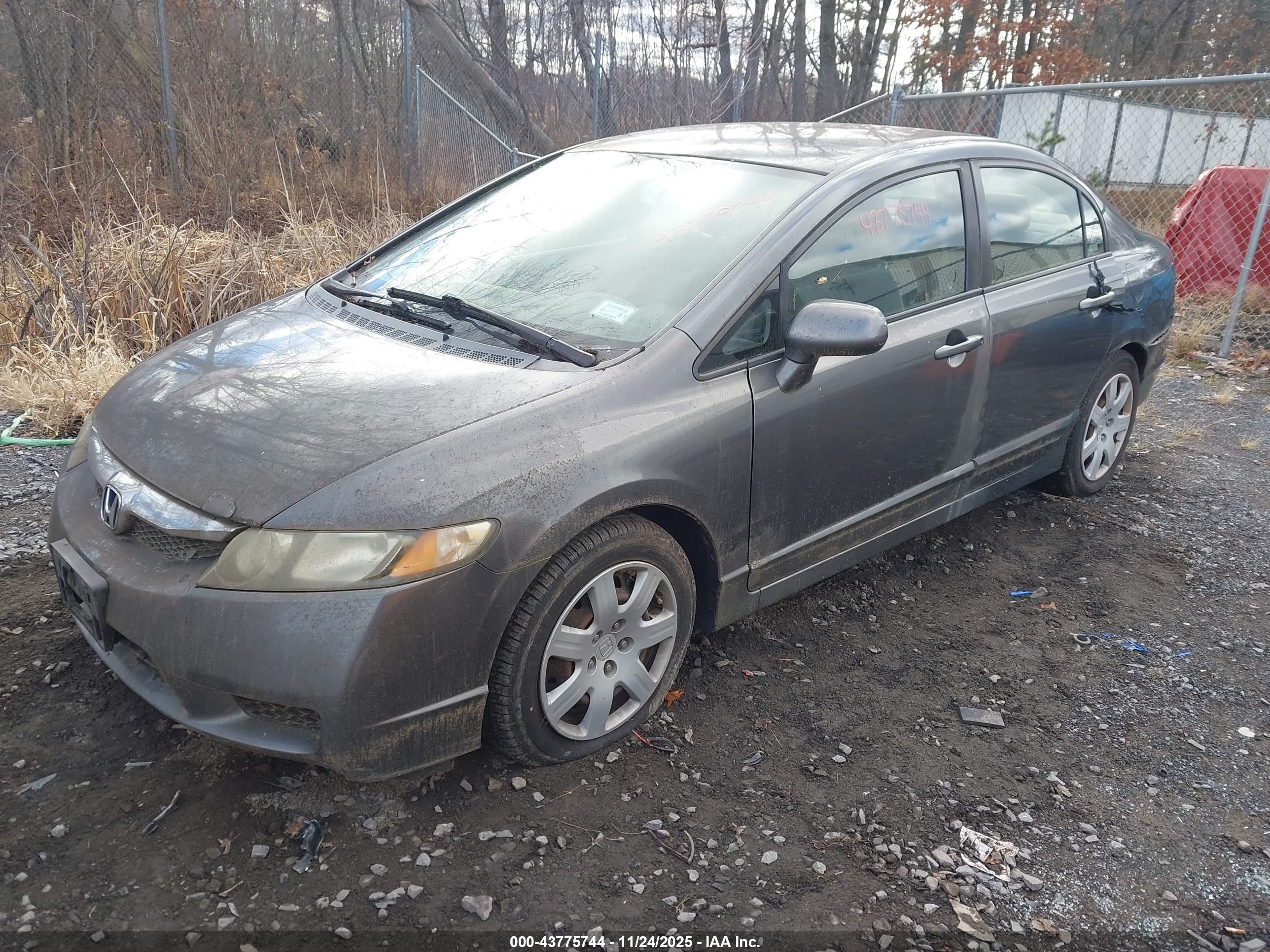 HONDA CIVIC image 2