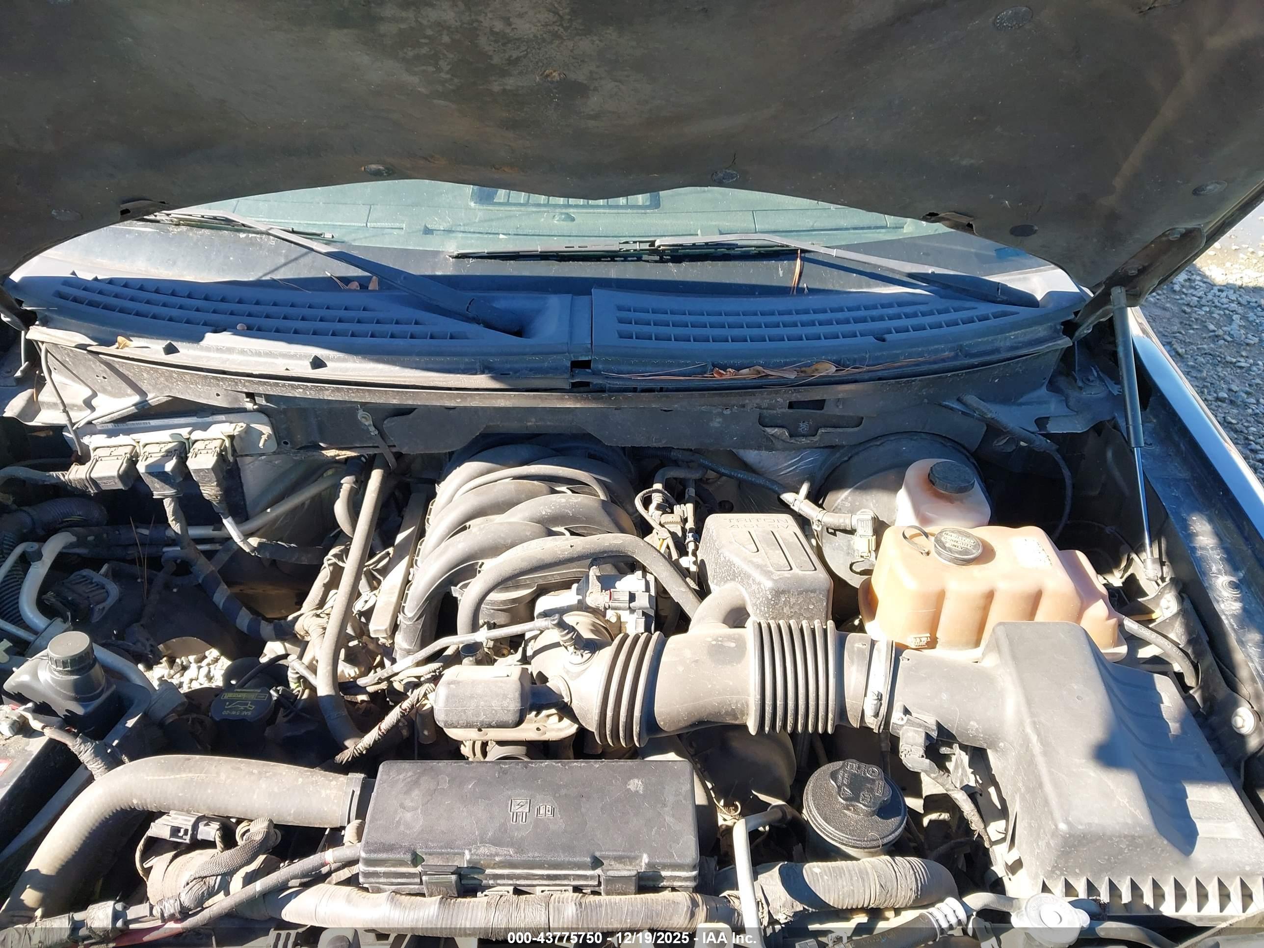 FORD F-150 image 10