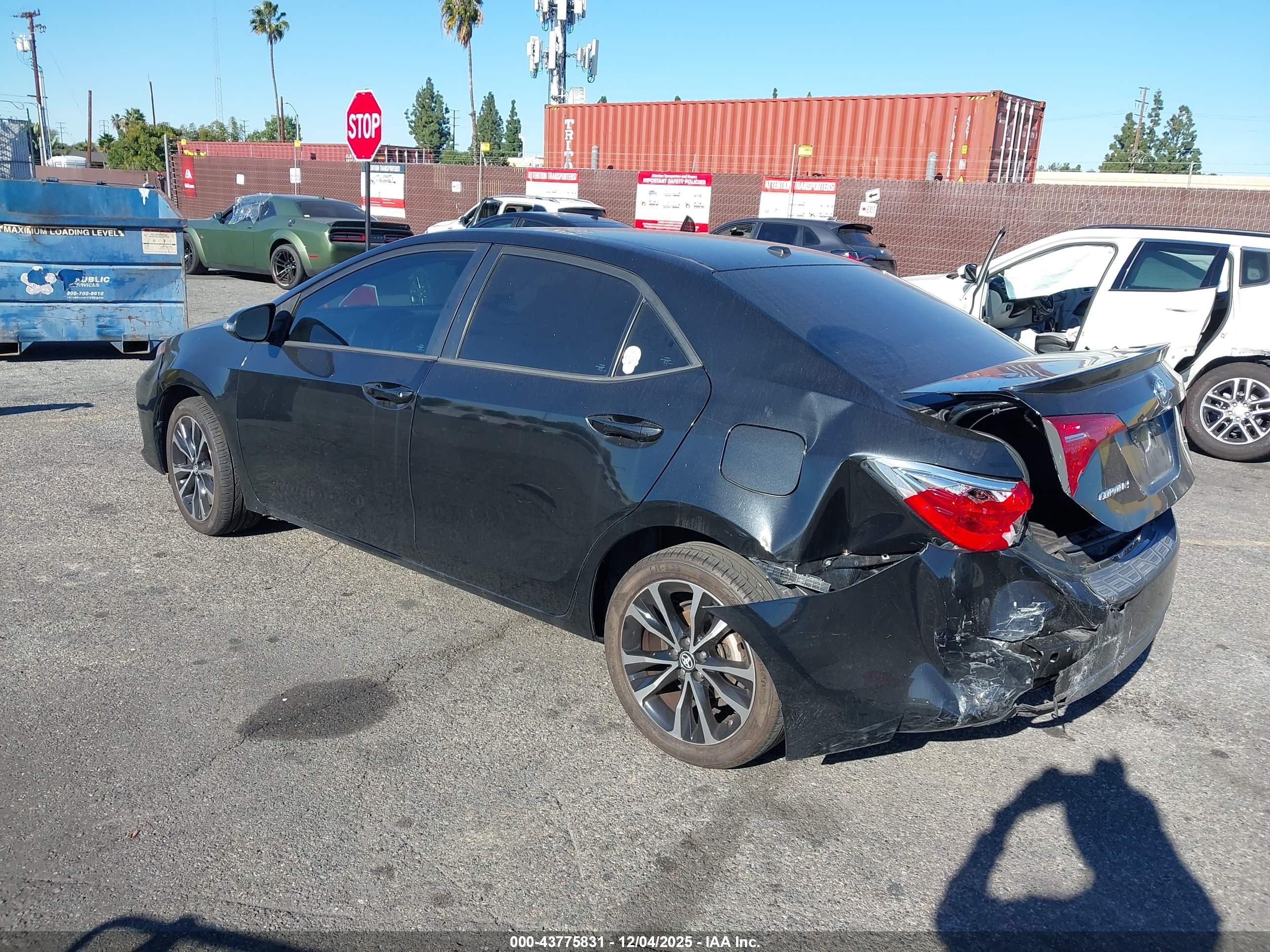 TOYOTA COROLLA image 3