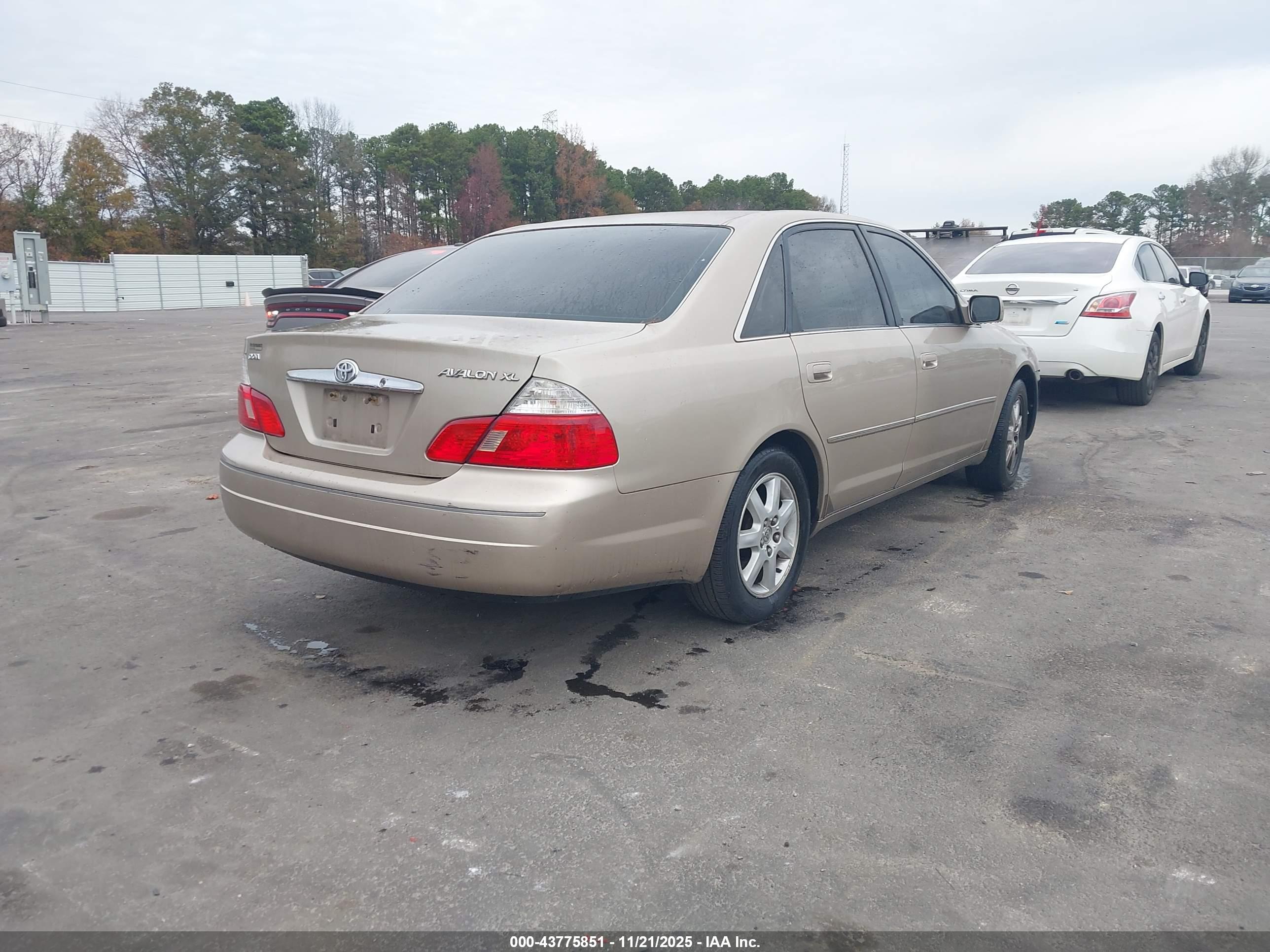 TOYOTA AVALON image 4