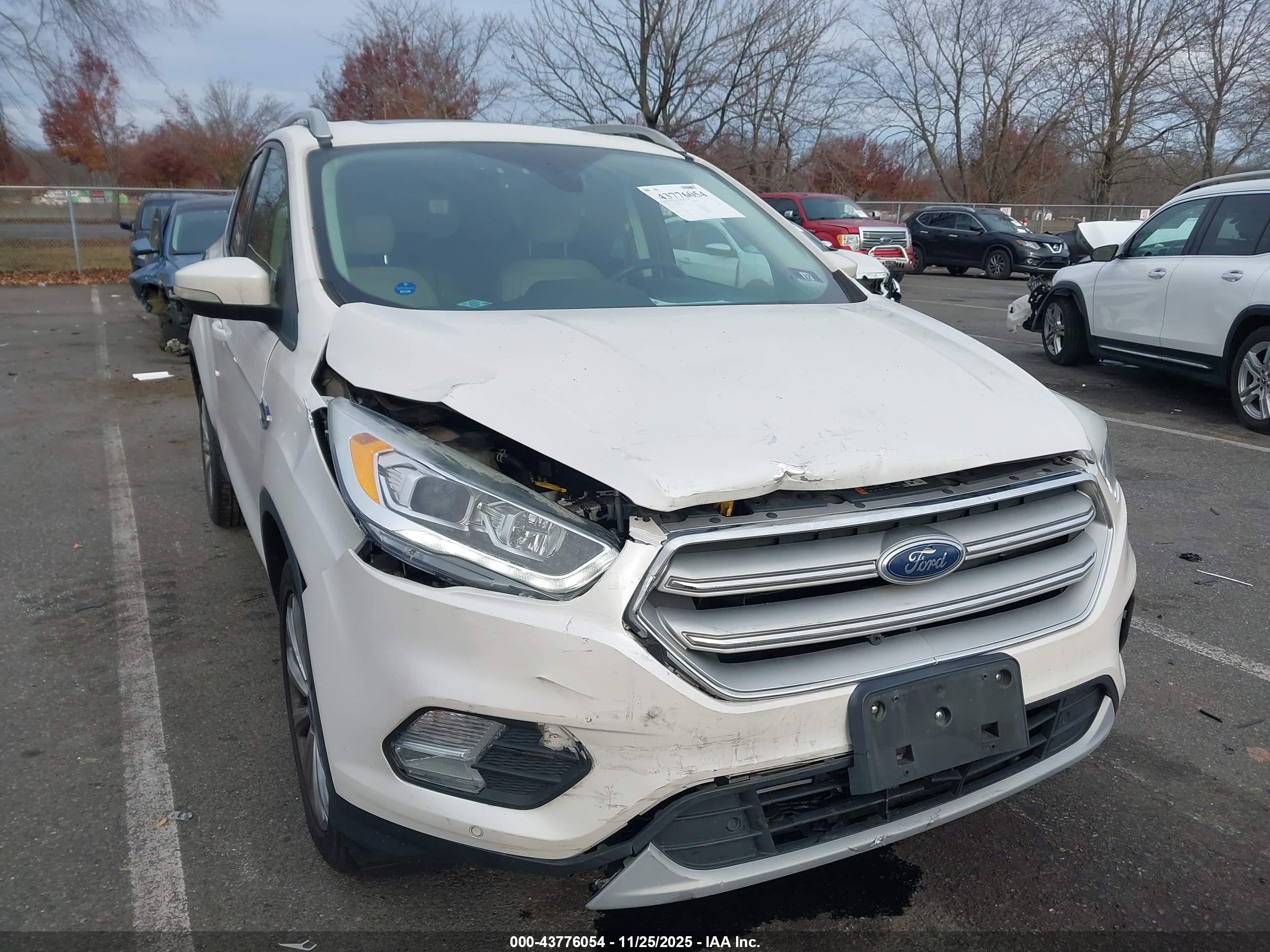 FORD ESCAPE image 6
