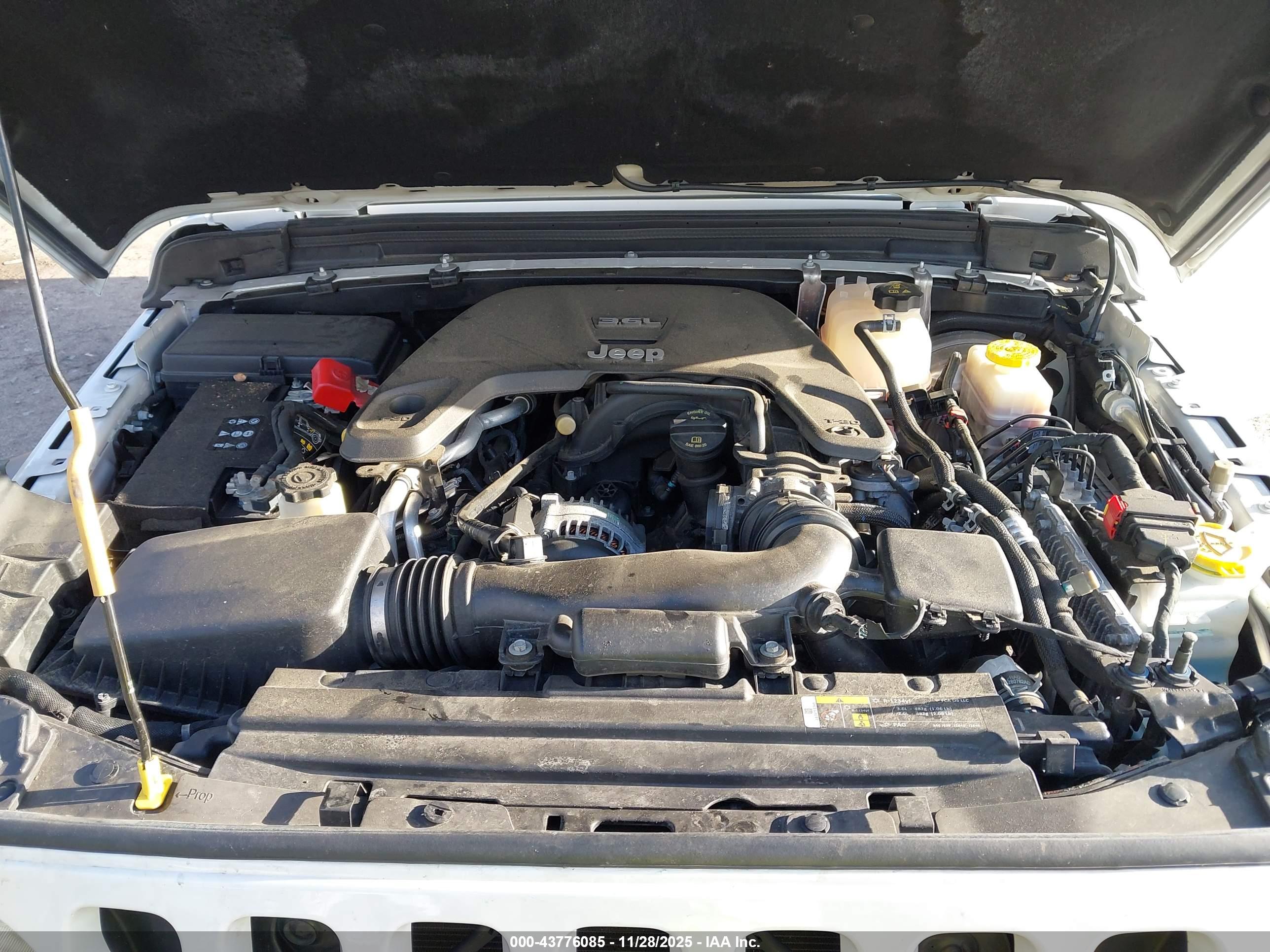 JEEP WRANGLER image 10