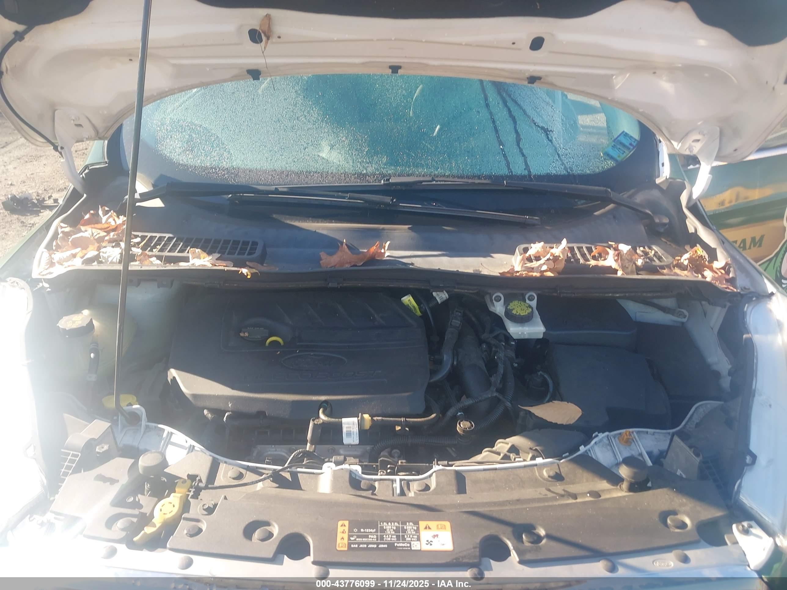 FORD ESCAPE image 10