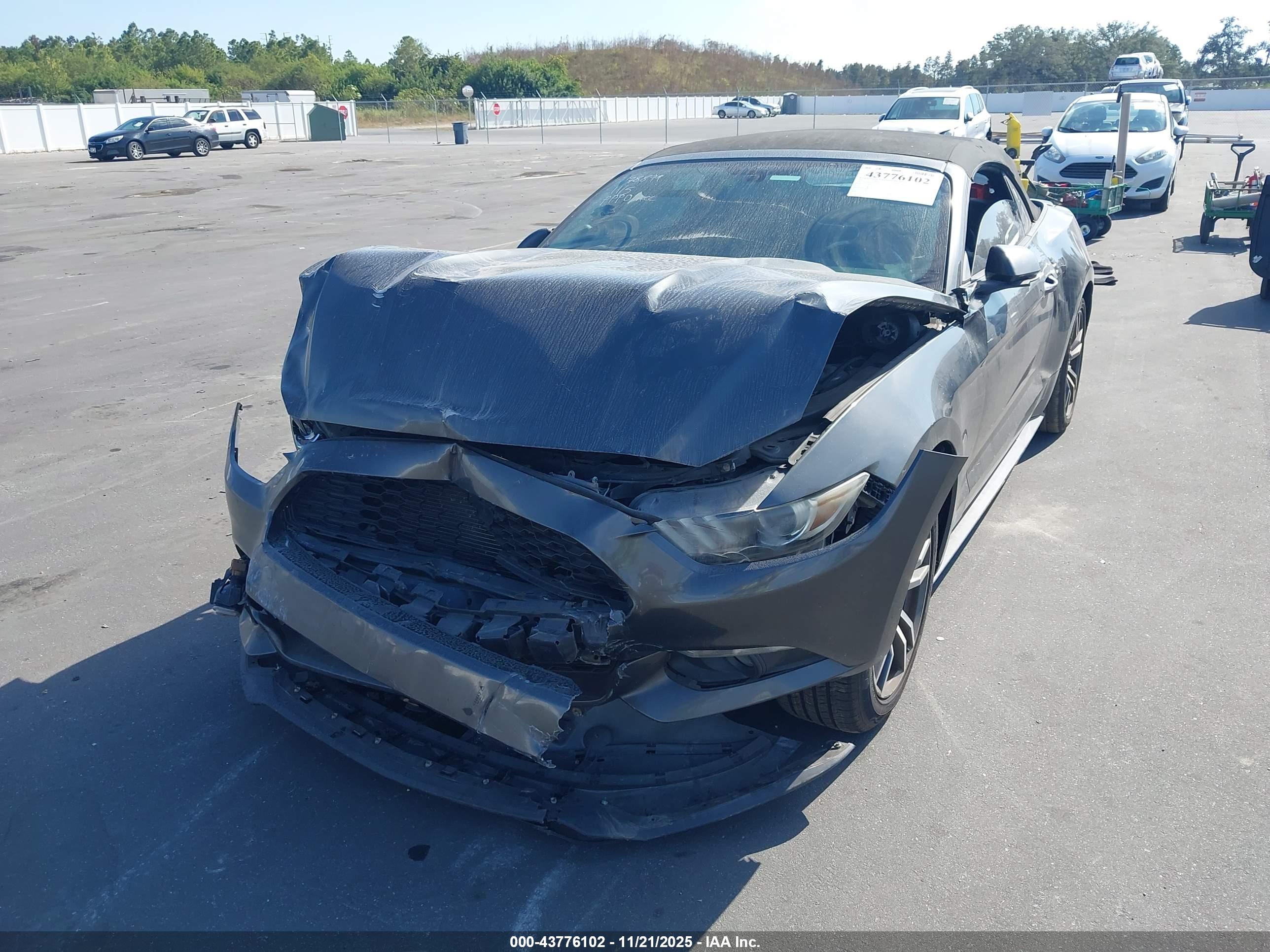 FORD MUSTANG image 6