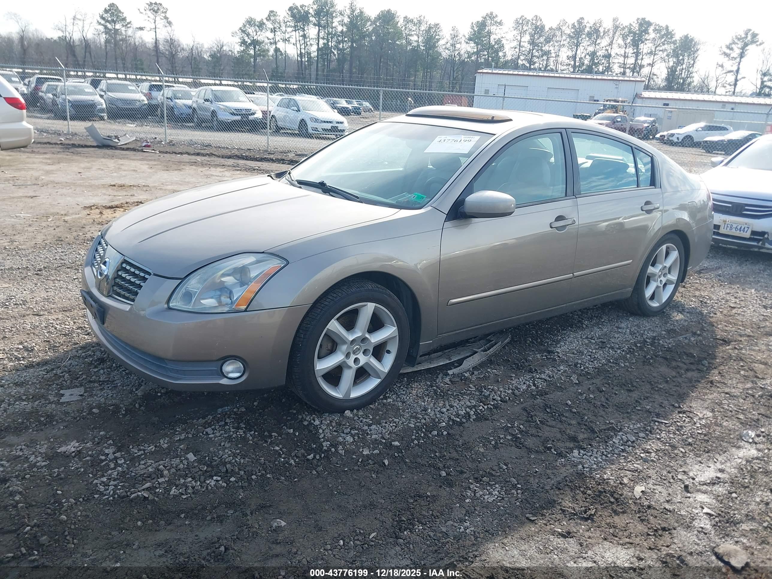 NISSAN MAXIMA image 2