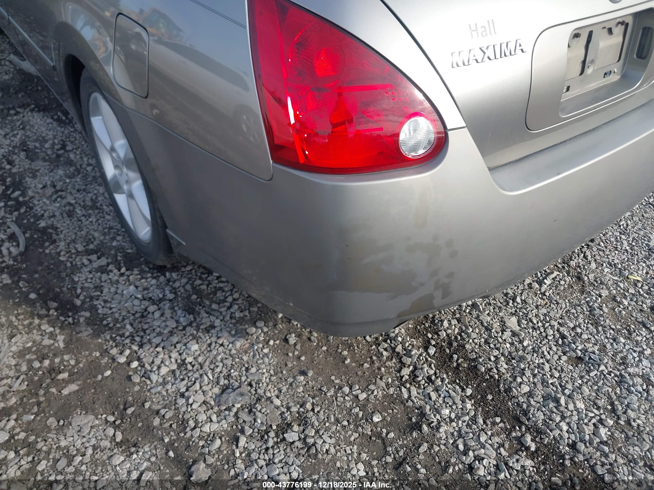 NISSAN MAXIMA image 6
