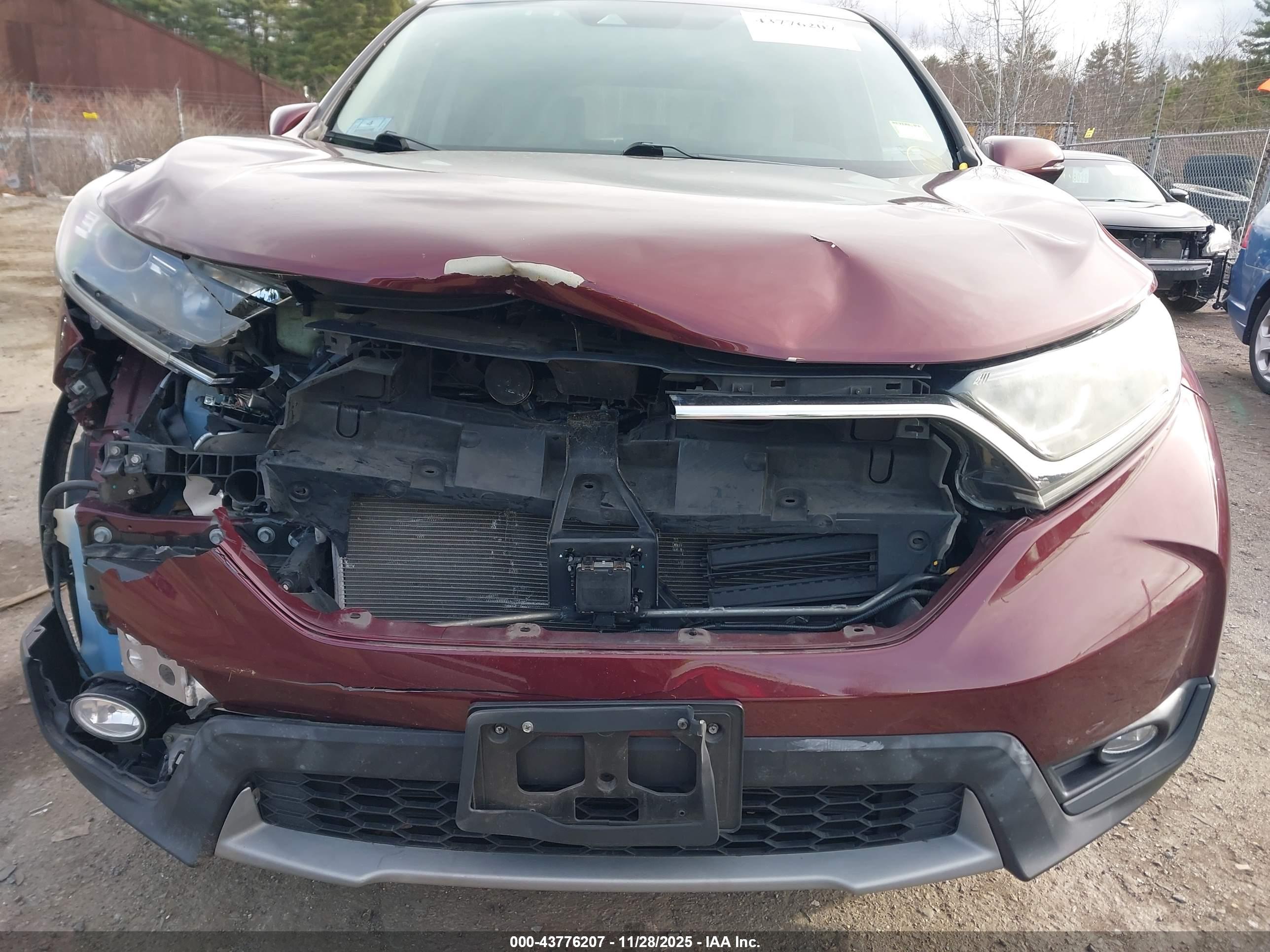 HONDA CR-V image 6