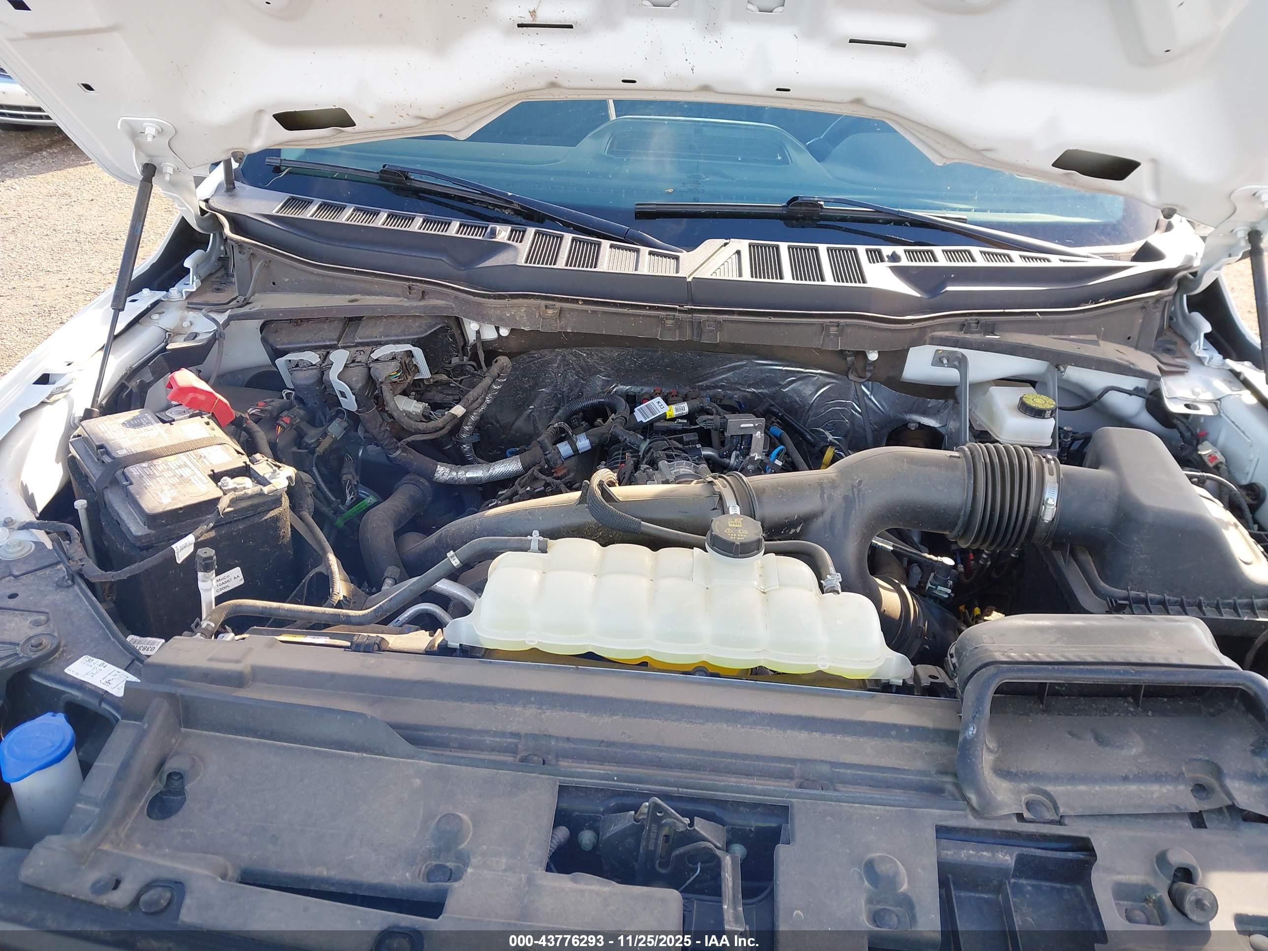 FORD F-150 image 10