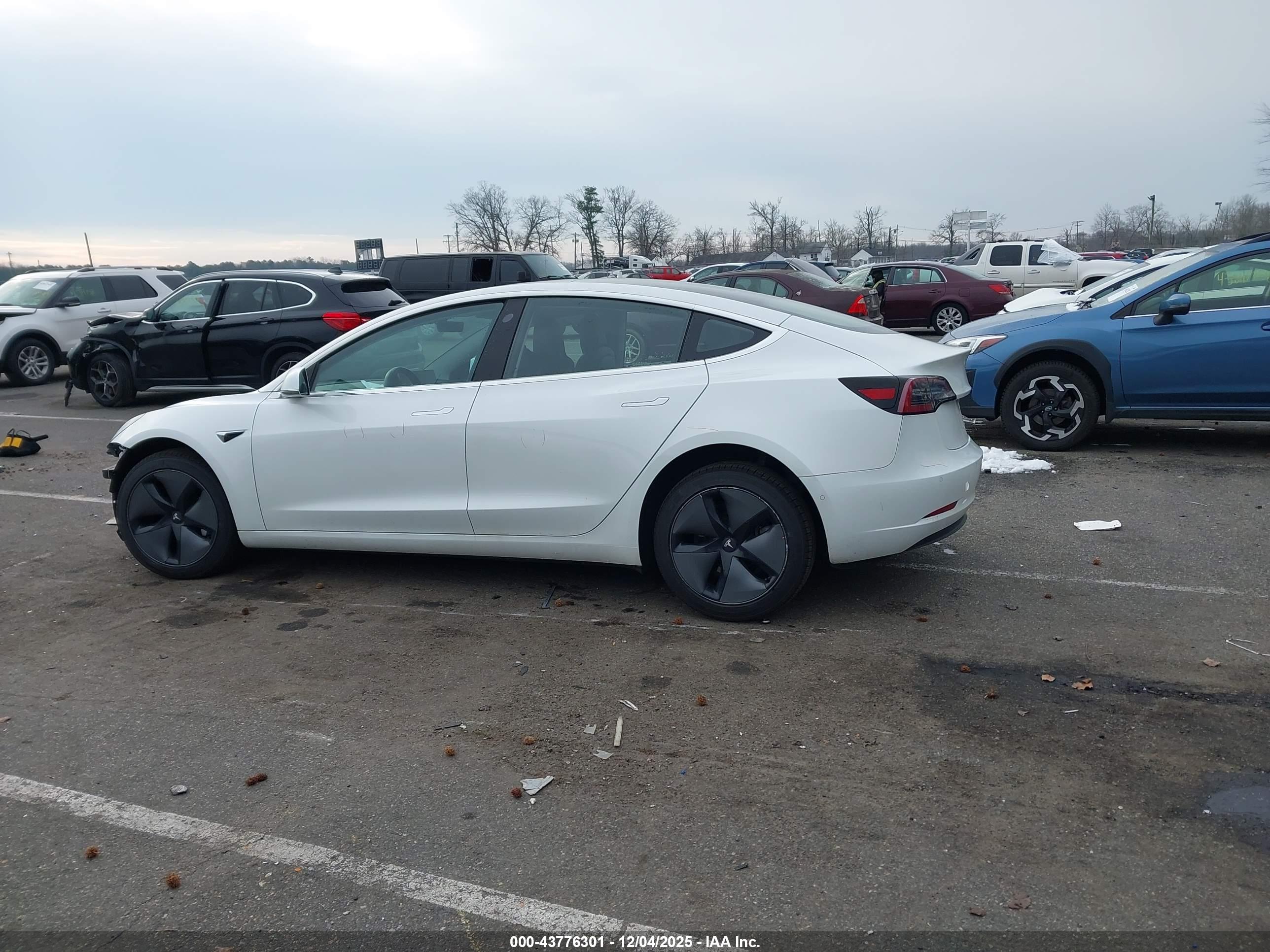 TESLA MODEL image 3