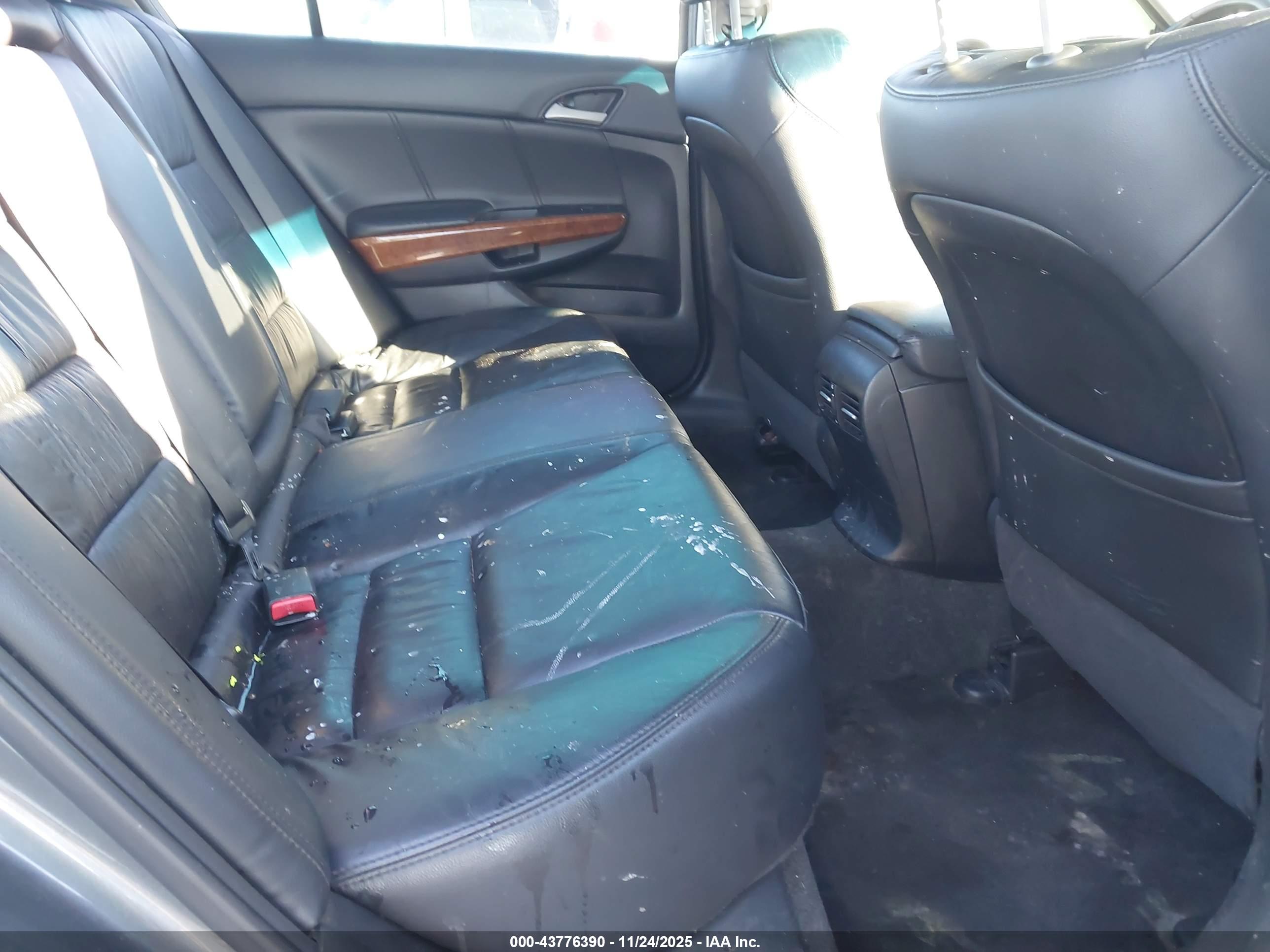 HONDA ACCORD image 8