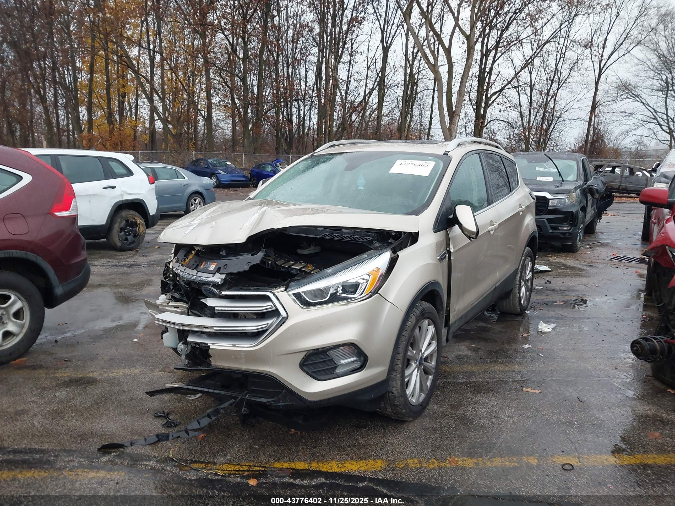 FORD ESCAPE image 2