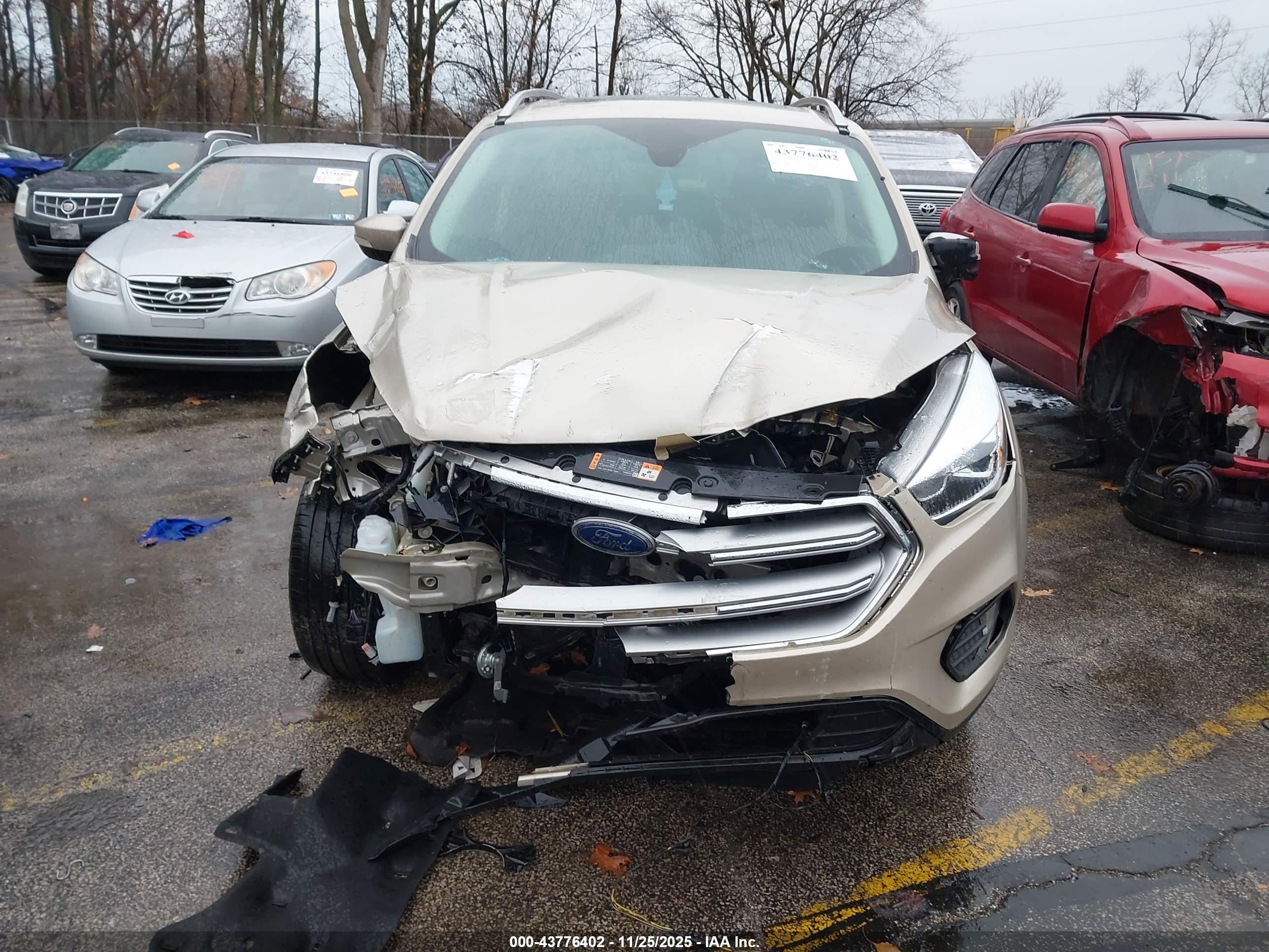 FORD ESCAPE image 6