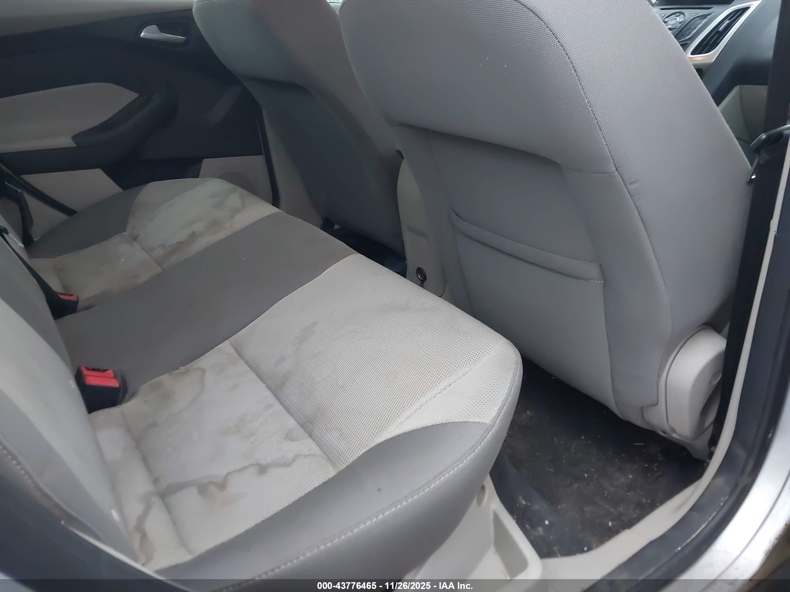 FORD FOCUS image 8