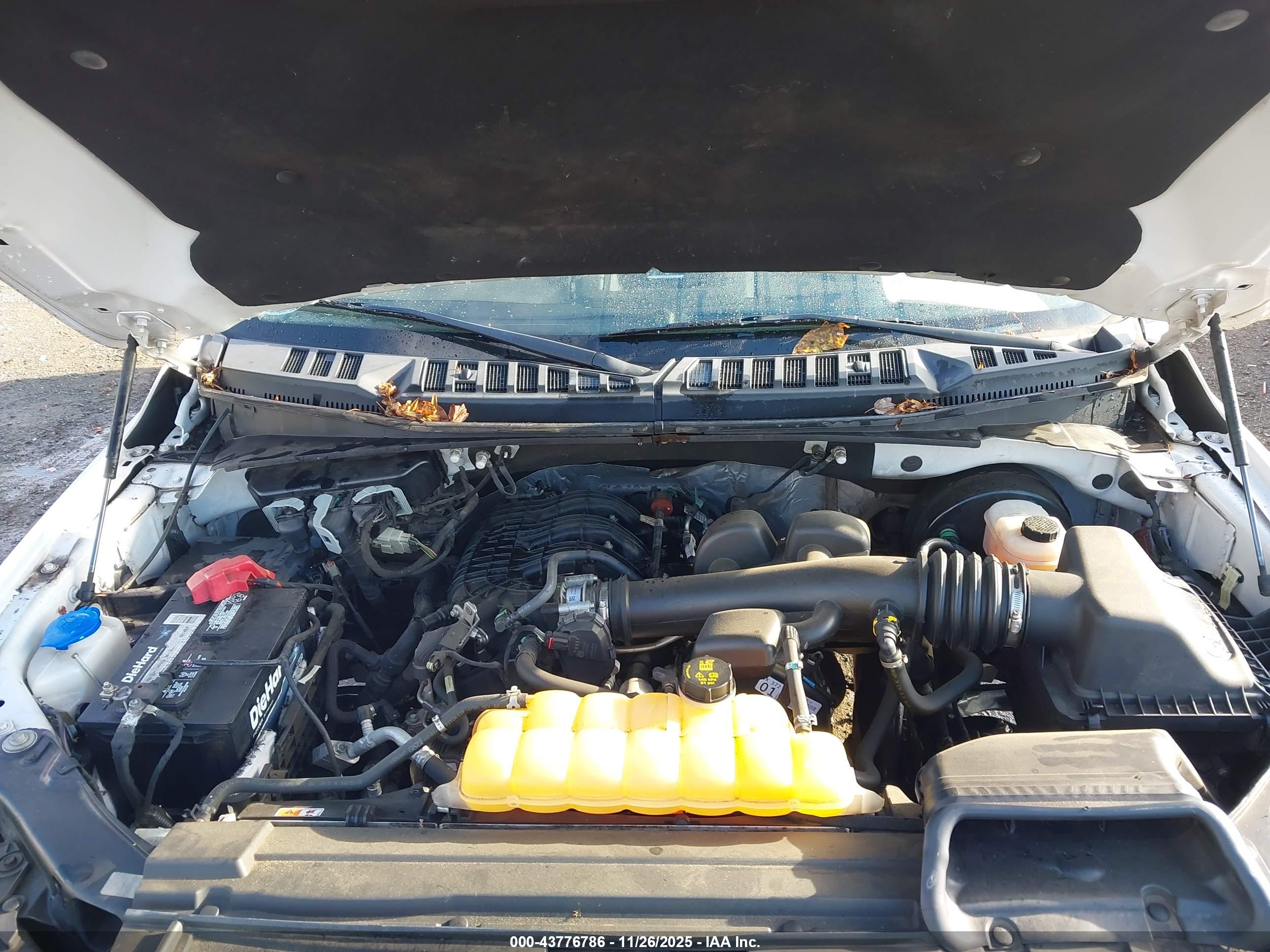 FORD F-150 image 10