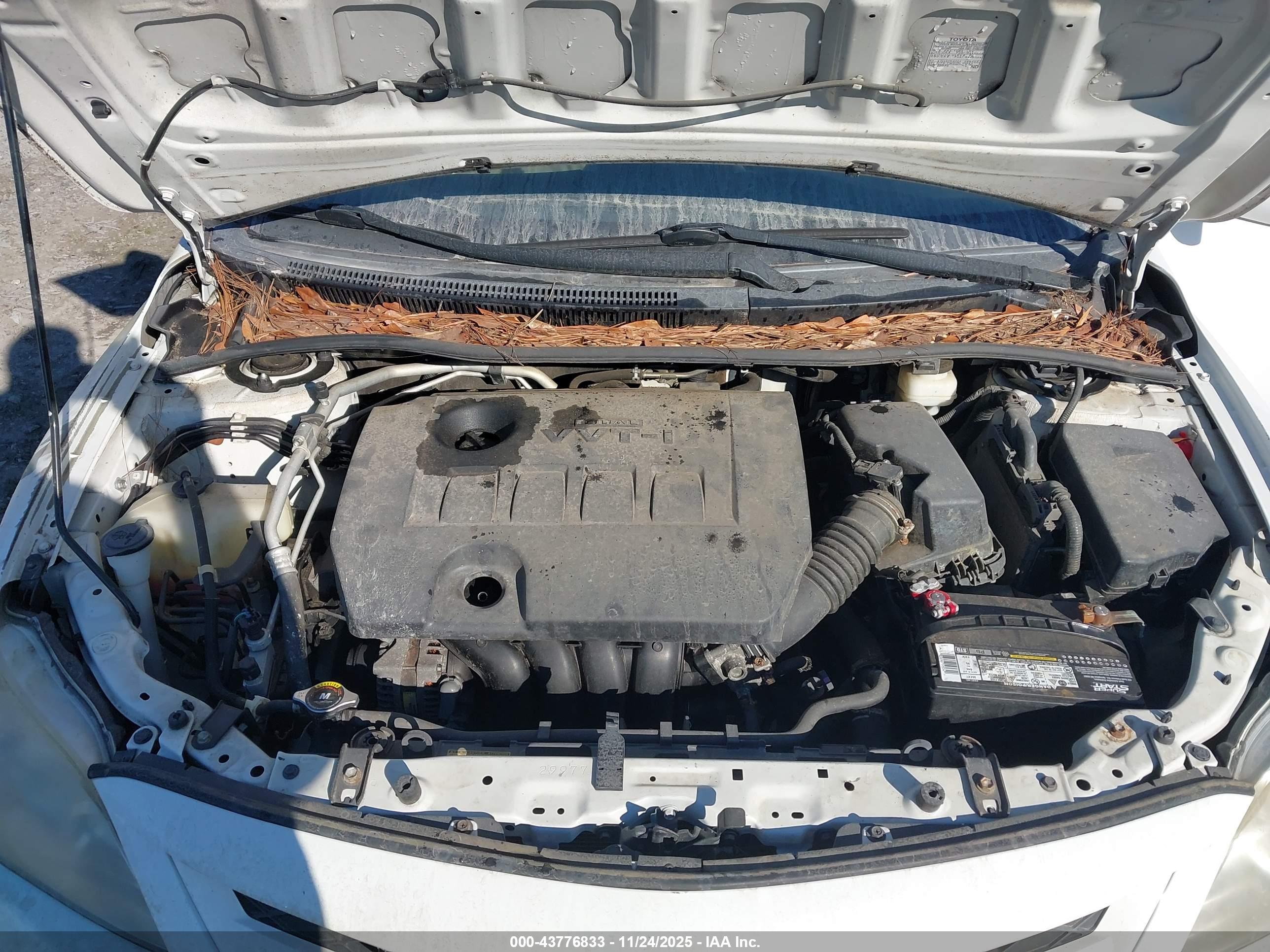 TOYOTA COROLLA image 10