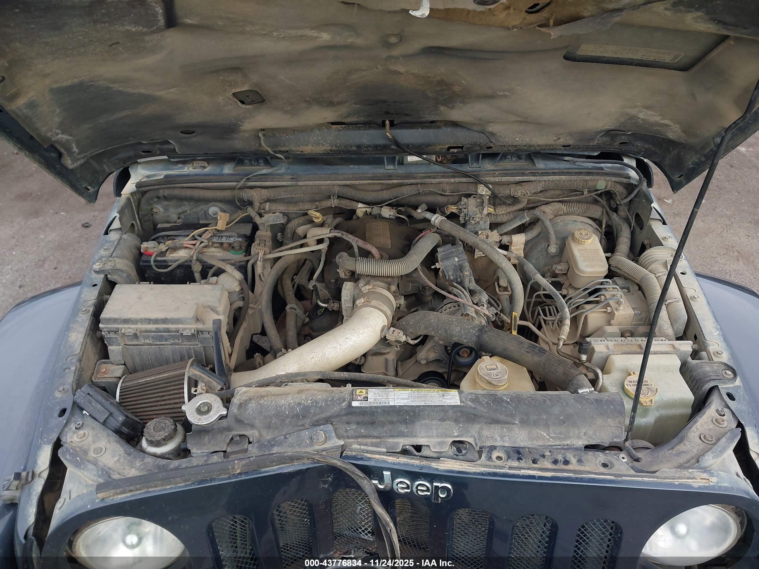 JEEP WRANGLER image 10